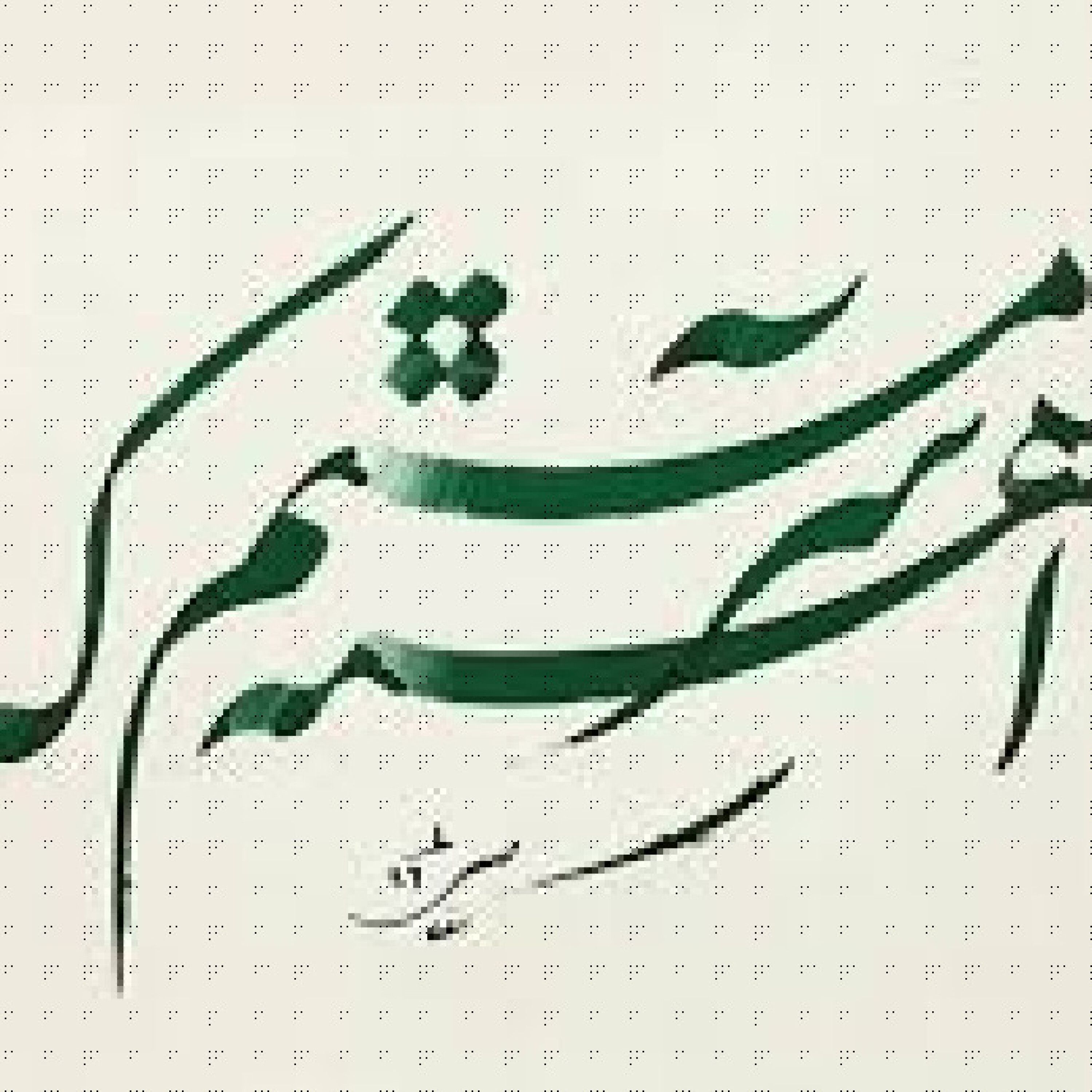 آهسته که سرمستم...