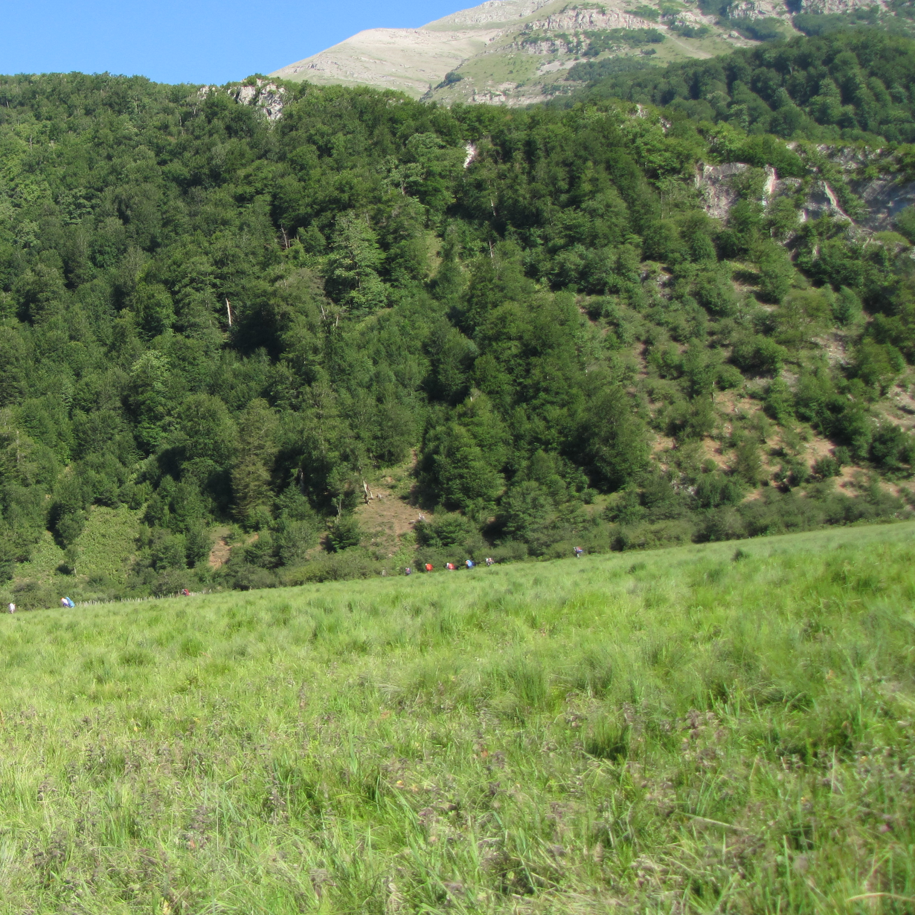 کاور کشتار در اصفهان1