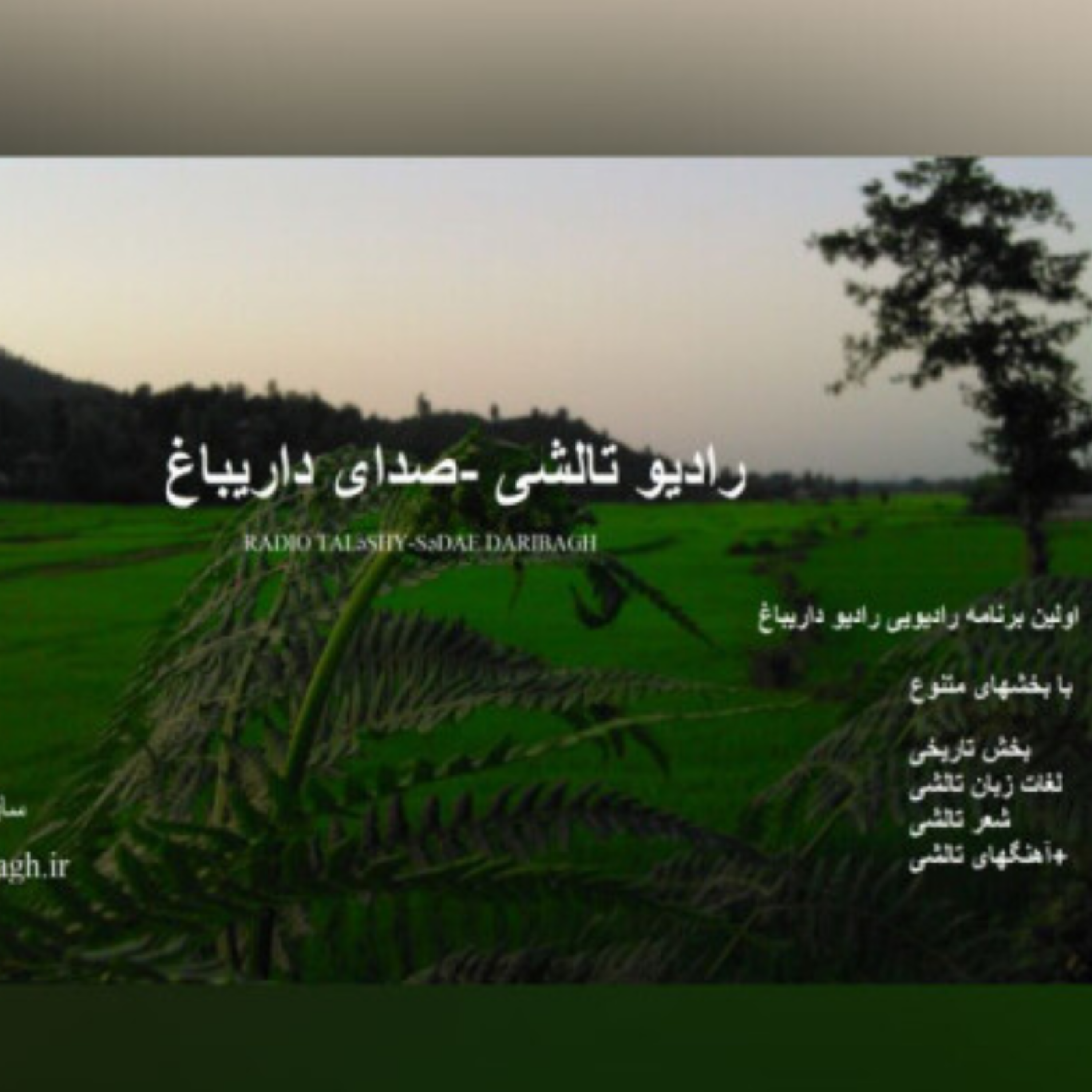 کاور رادیو تالشی صدای داریباغ برنامه یک