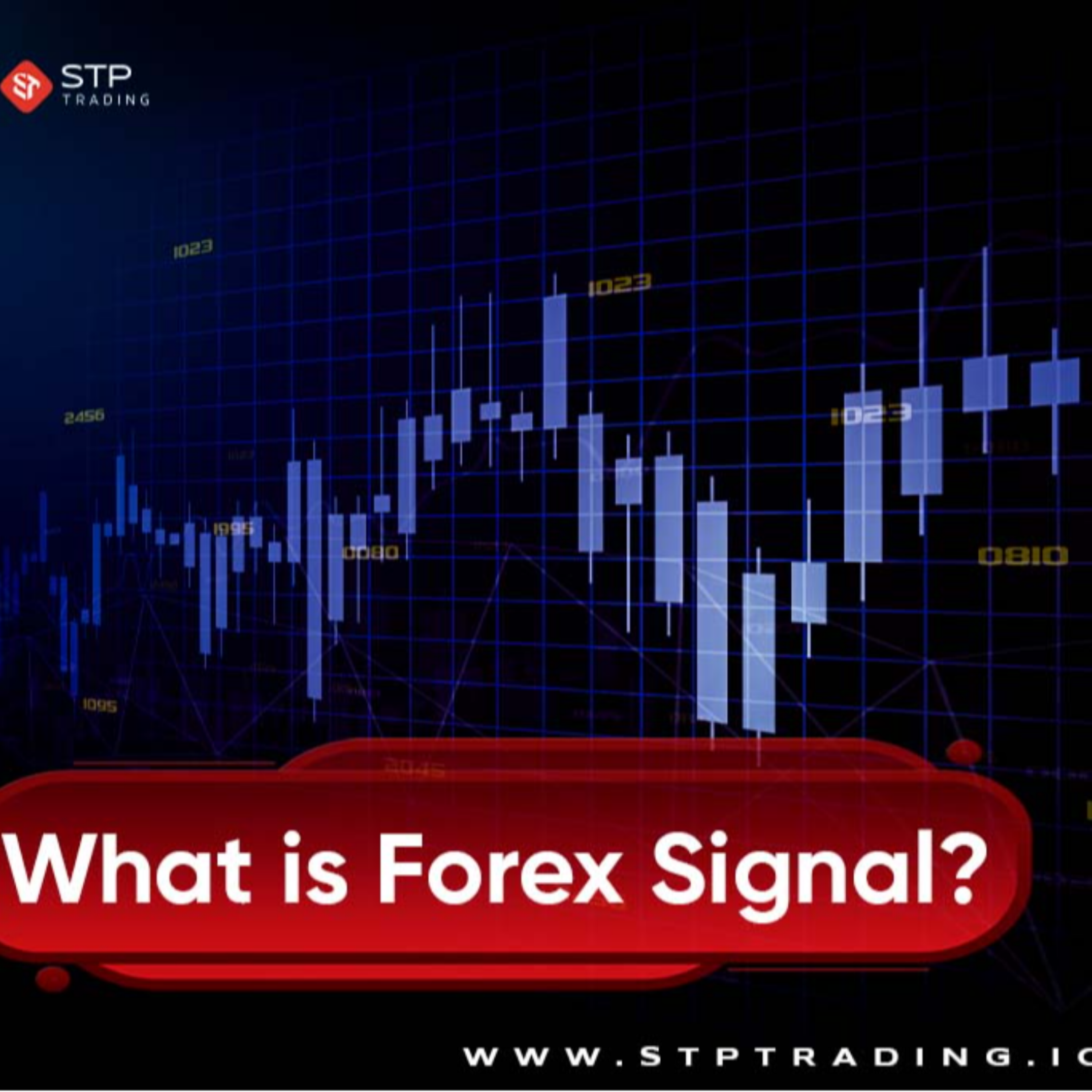 کاور What is a Forex Signal?