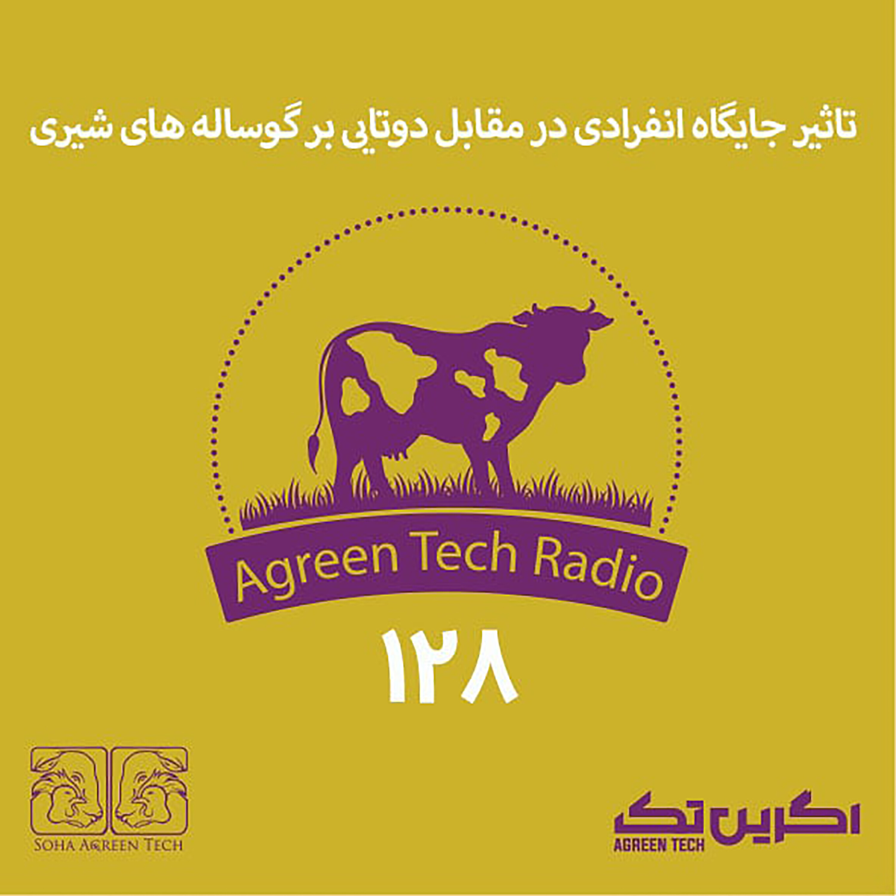 پادکست شماره 128: تاثیر جایگاه انفرادی در مقابل دوتایی بر گوساله های شیری