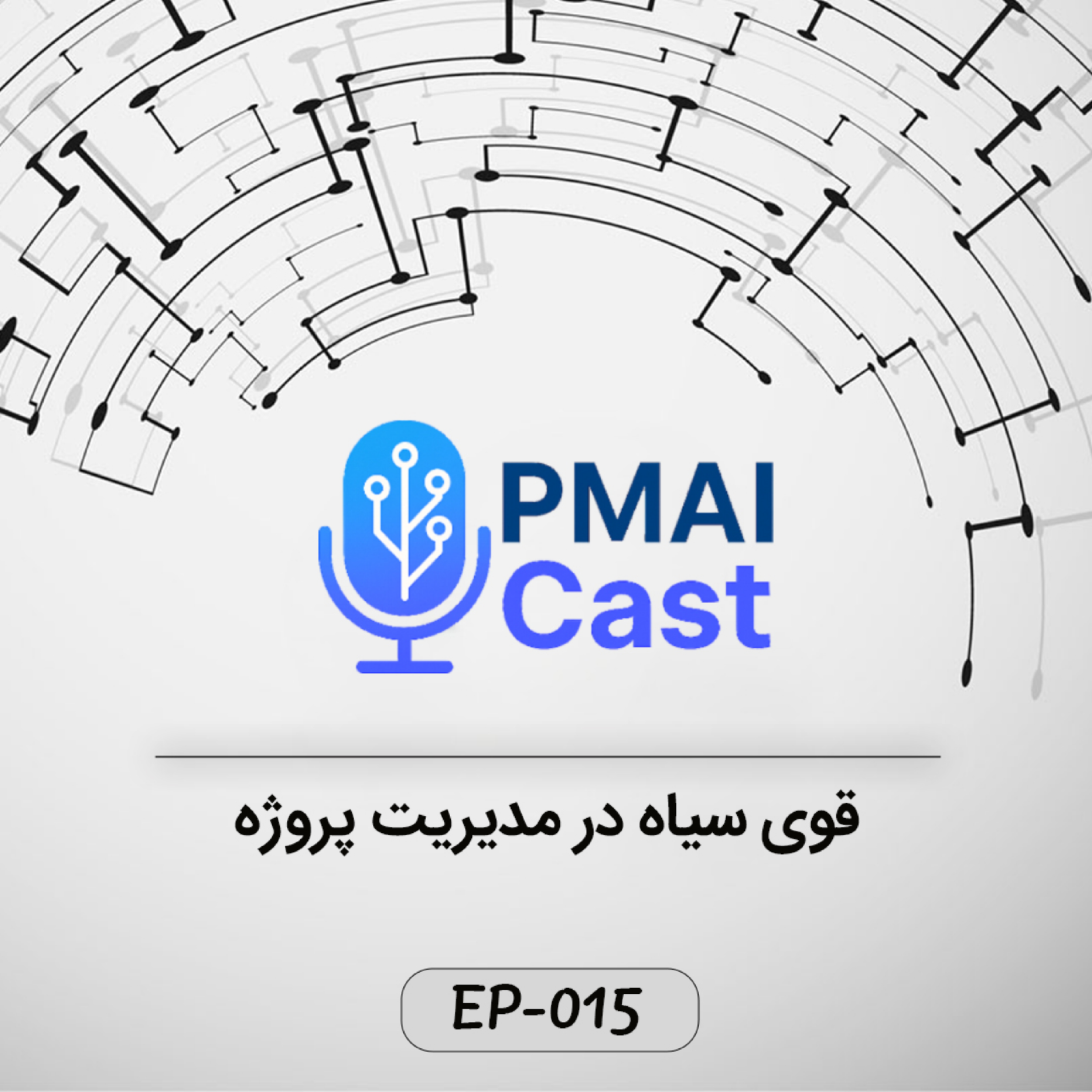 کاور ٍEP-015- قوی سیاه در مدیریت پروژه
