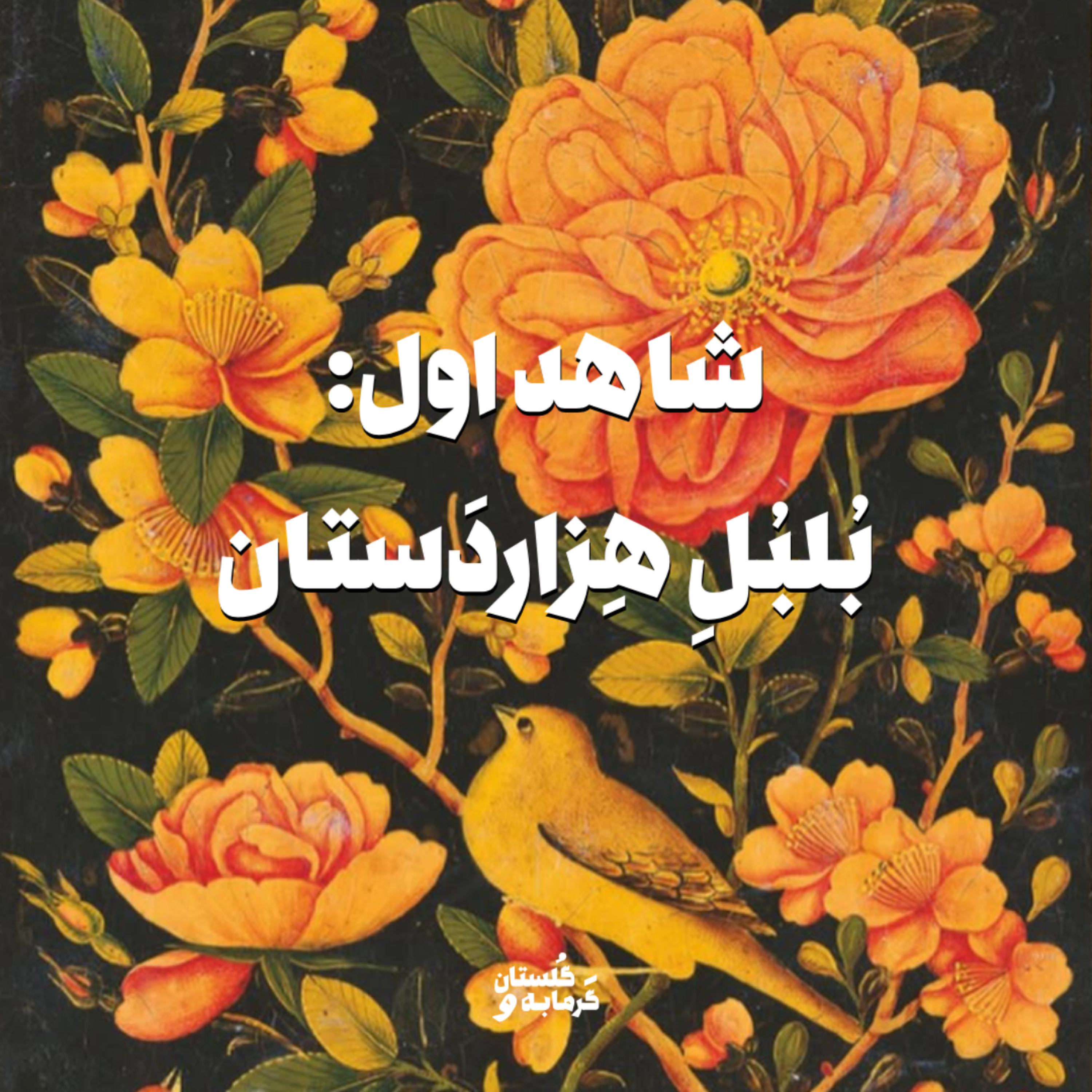 کاور شاهد اول: بُلبُلِ هِزاردَستان