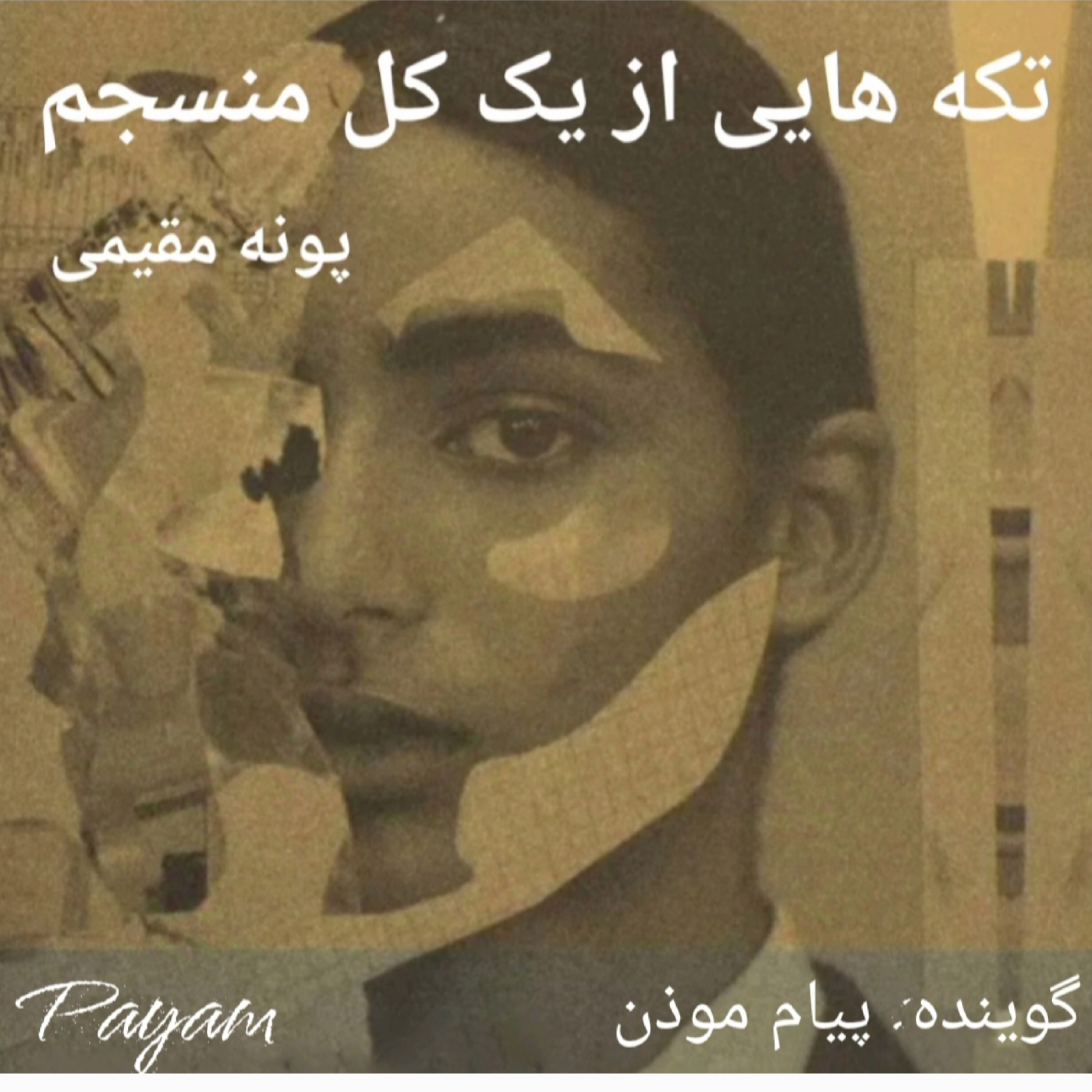 کاور پیشگفتار تکه هایی از یک کل منسجم