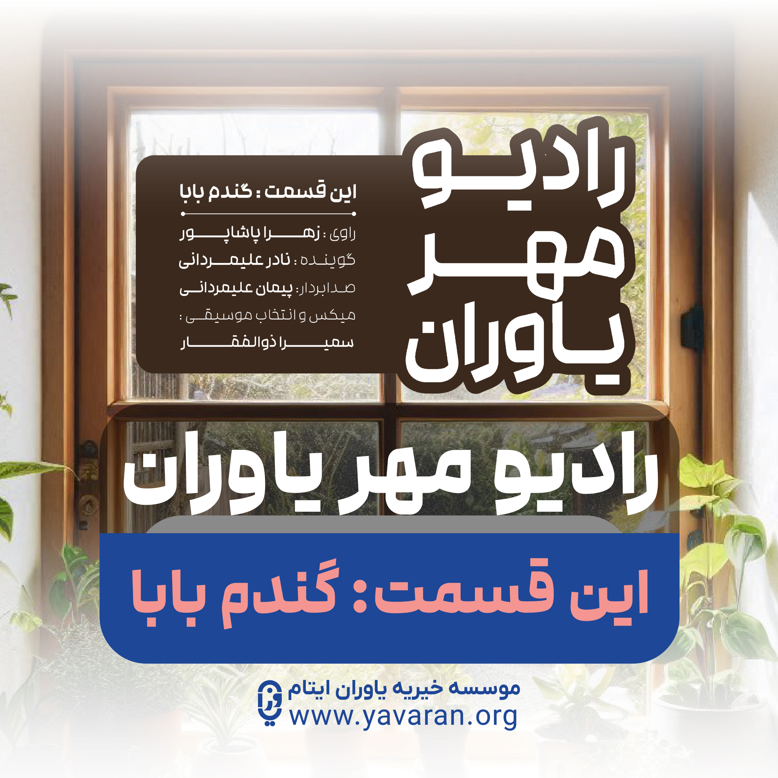 کاور گندم بابا