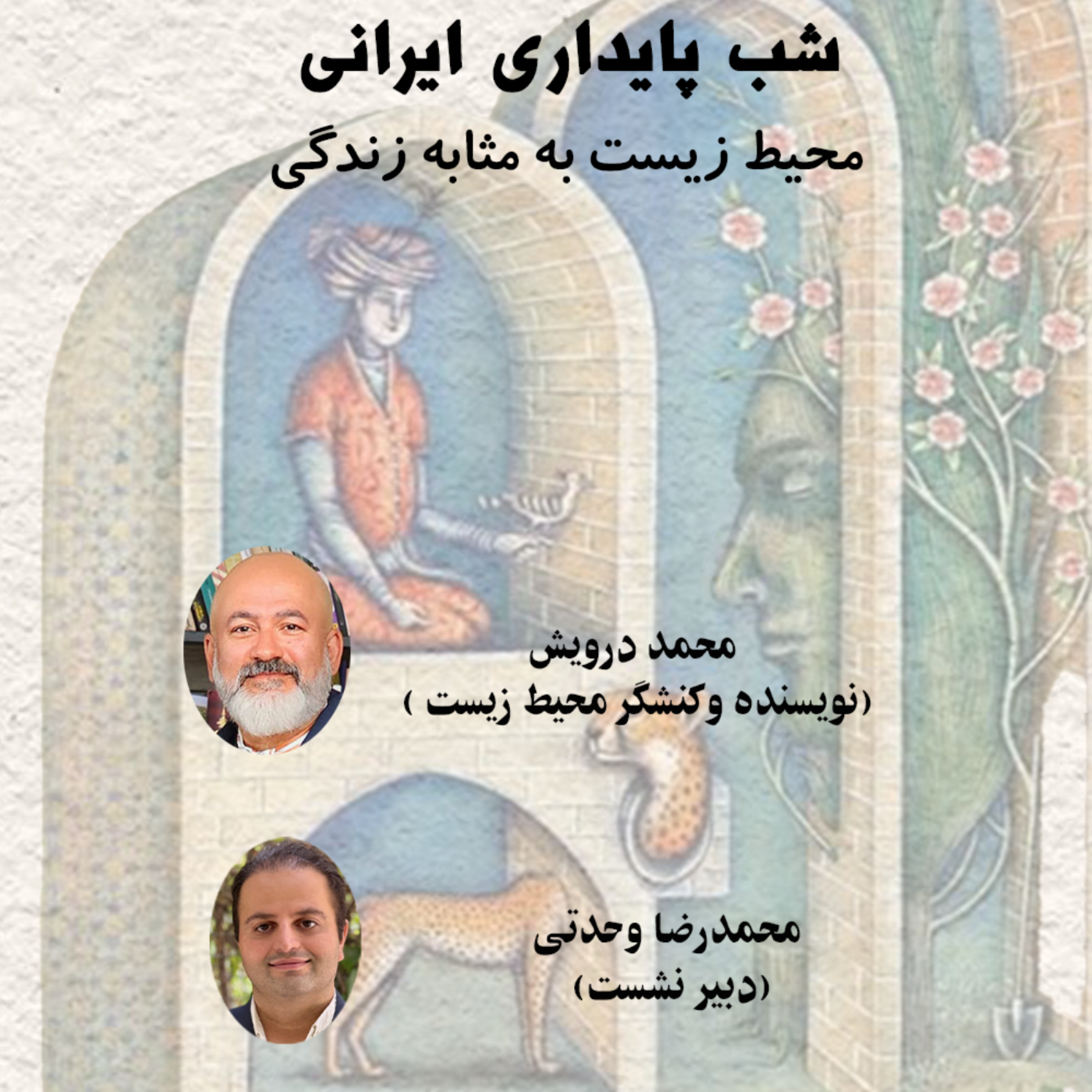 کاور شب پایداری ایرانی
