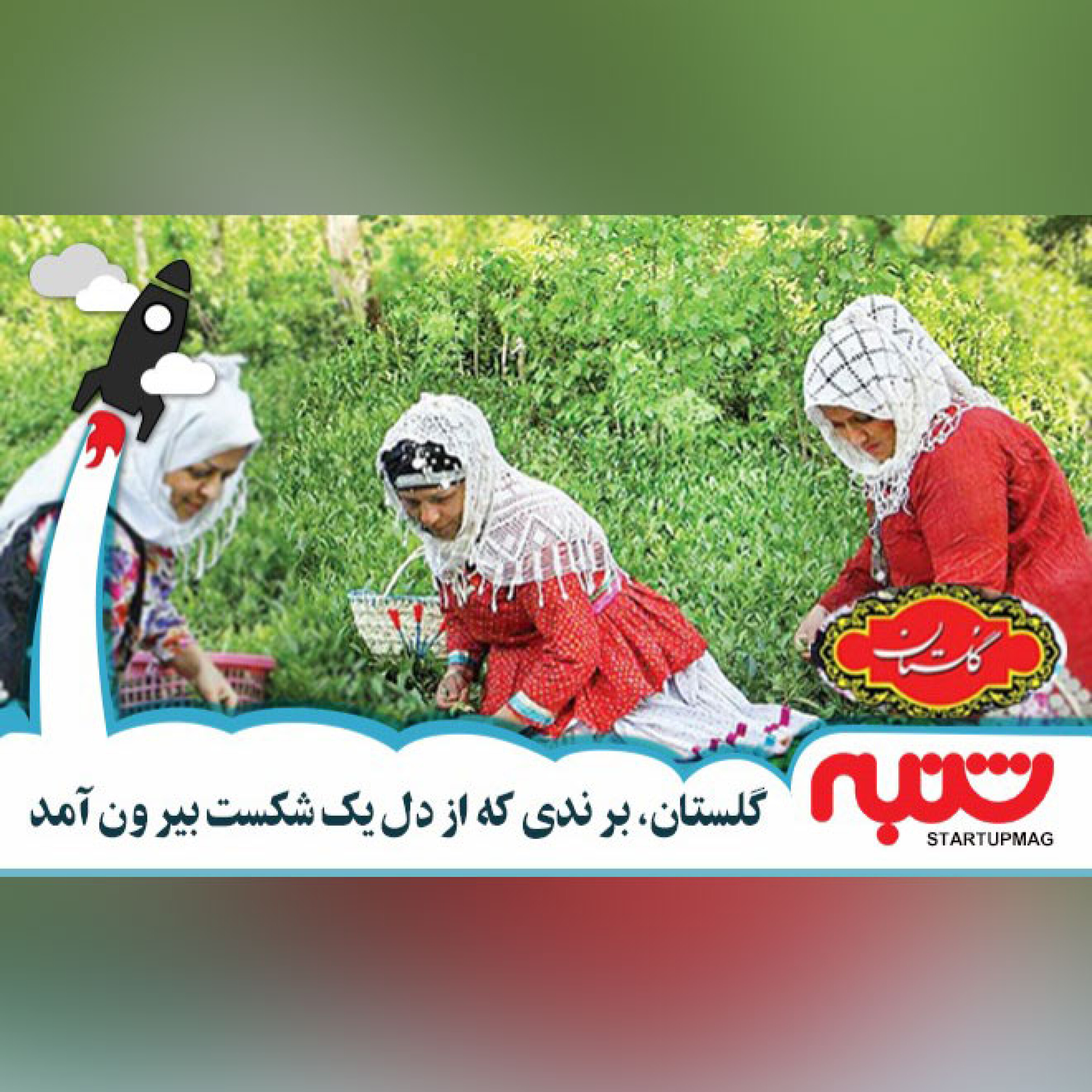 گلستان؛ بر ندی که از دل یک شکست بیر ون آمد