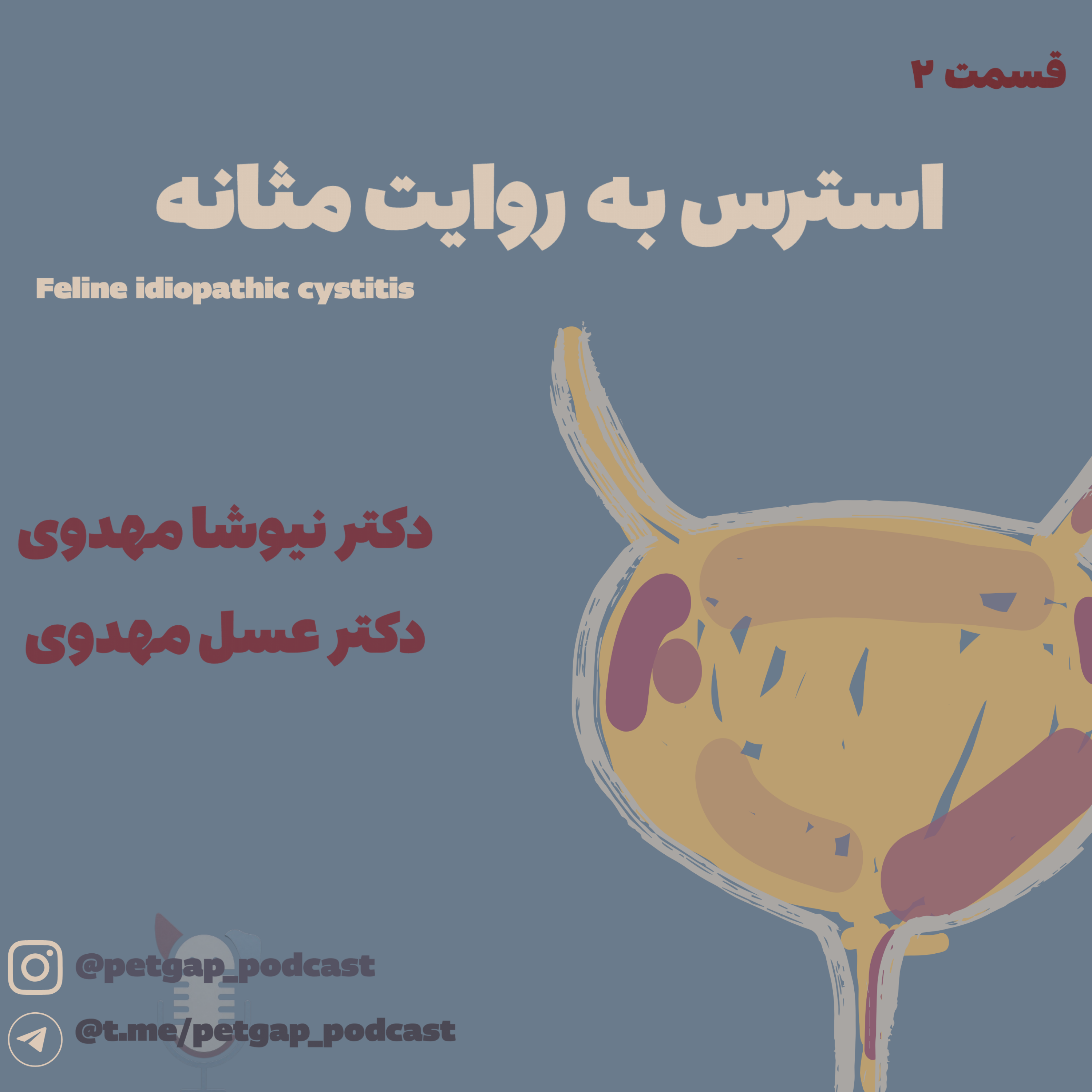 کاور استرس به روایت مثانه
