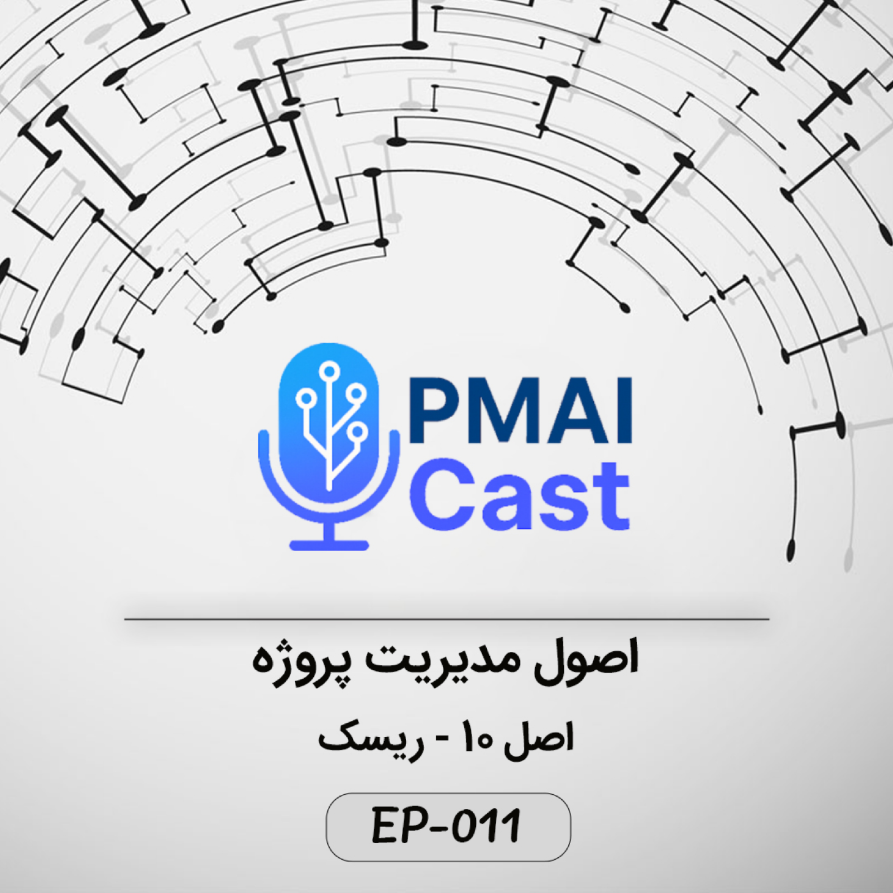 کاور ٍEP-011- اصول مدیریت پروژه - ریسک