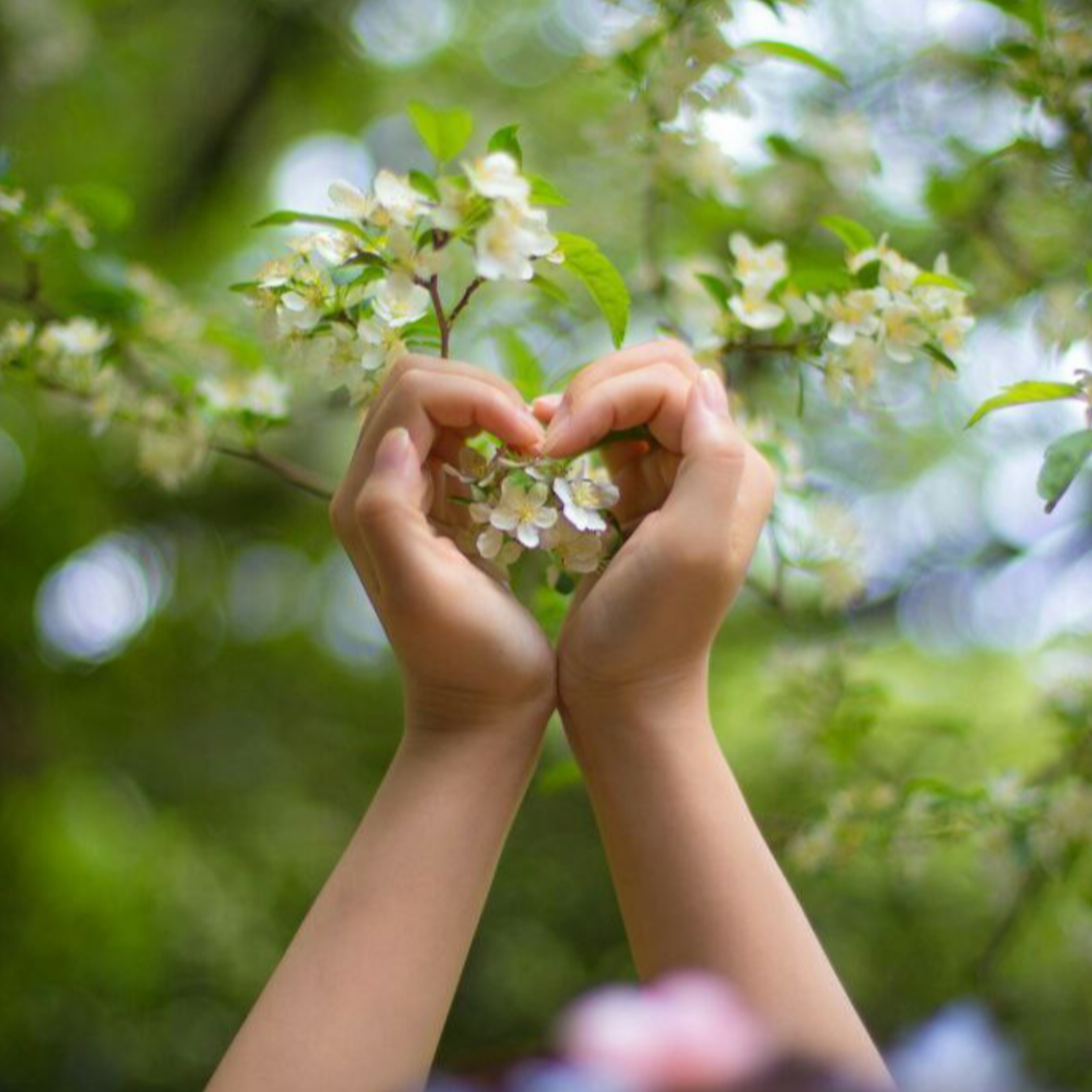 کاور زمان برای عشاق