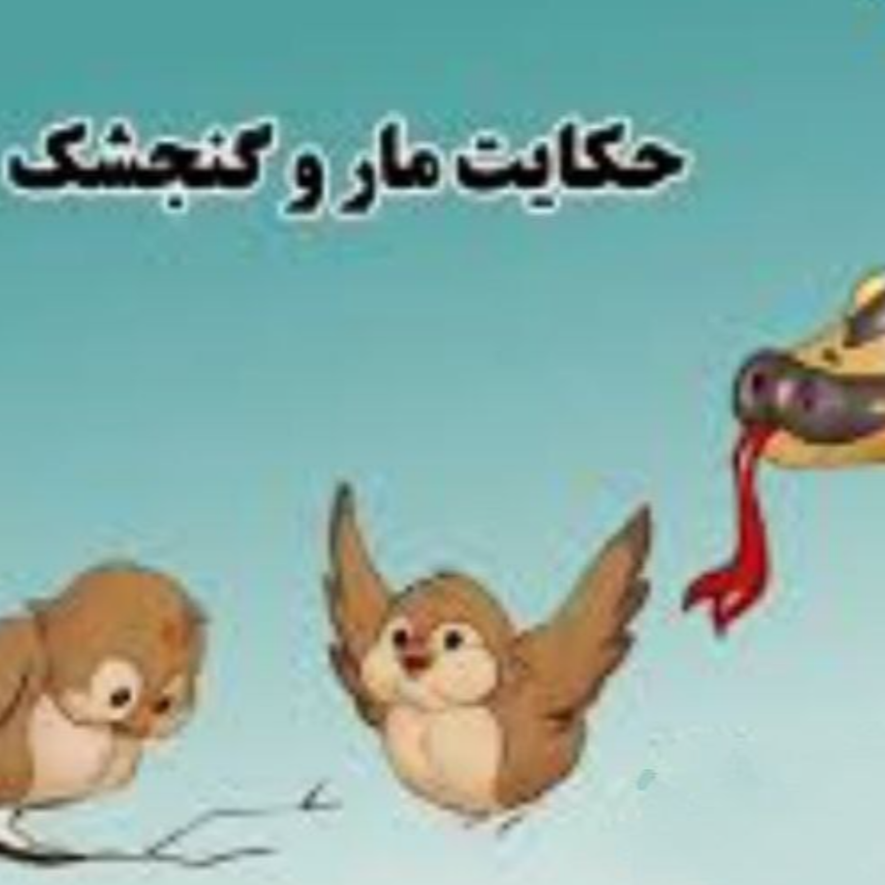 کاور مار ودو گنجشک