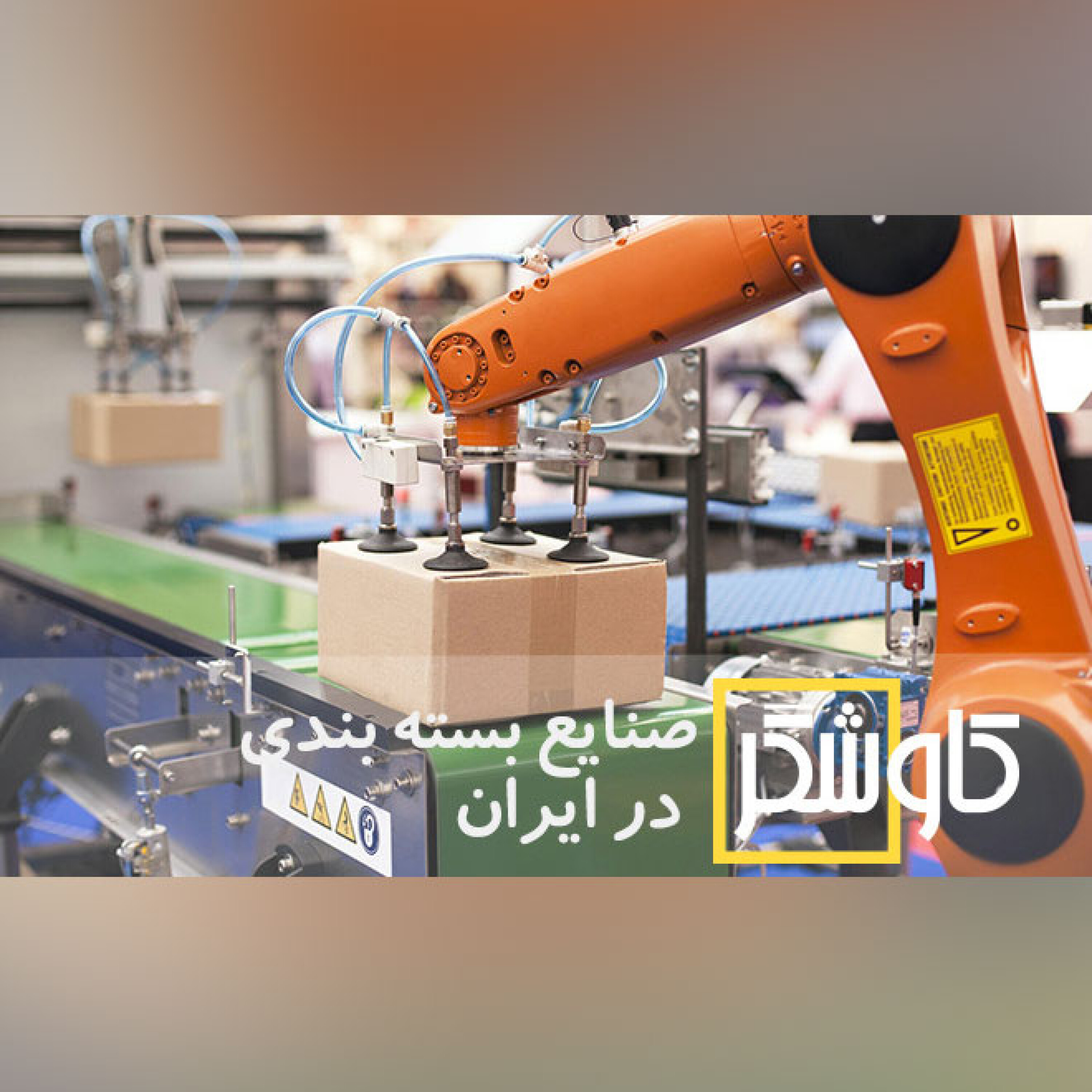 صنایع بسته بندی در ایران