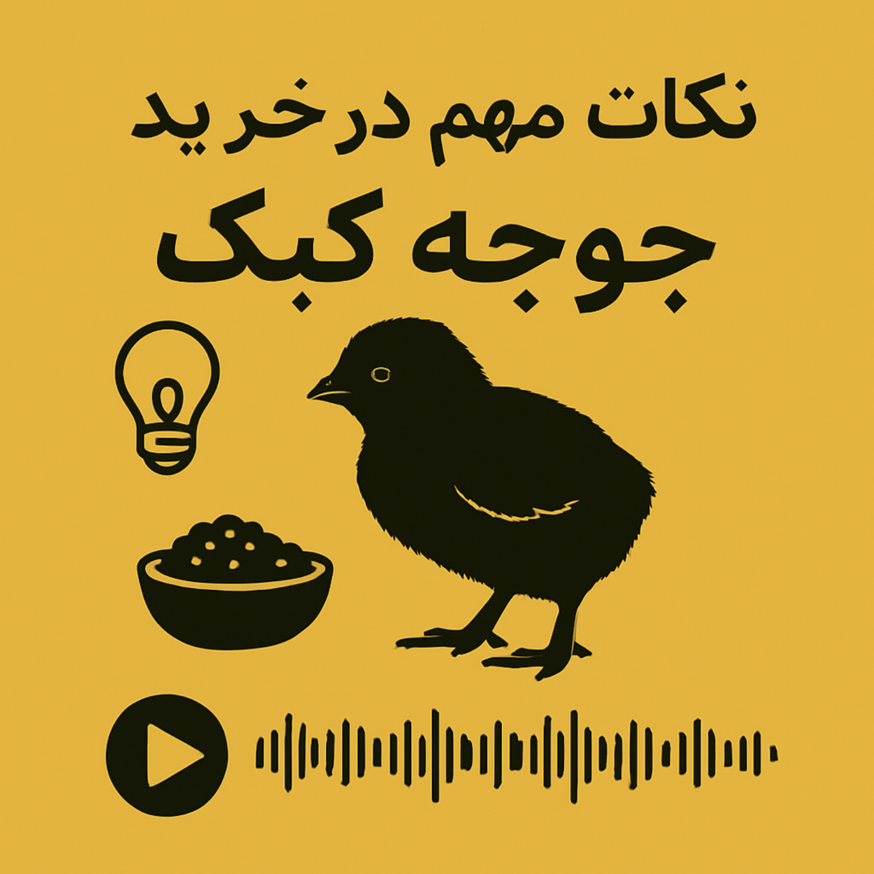 کاور راهنمای خرید جوجه کبک | نکات کلیدی برای انتخاب جوجه سالم