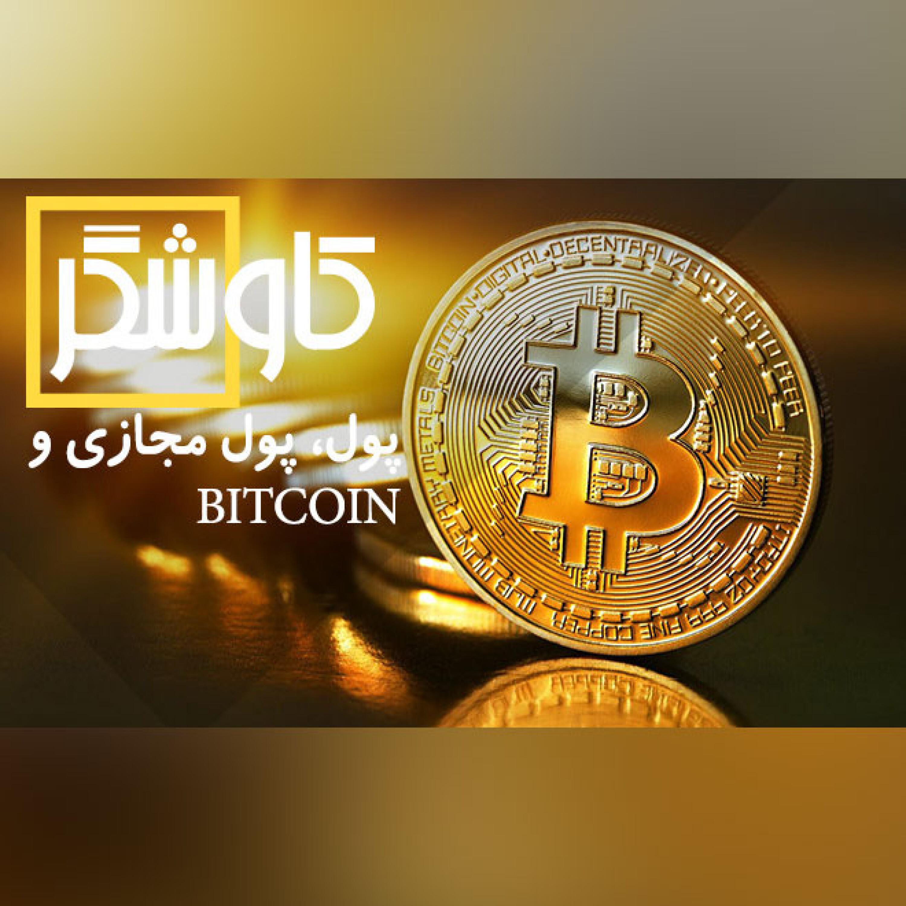 پول ، پول مجازی و bit coin