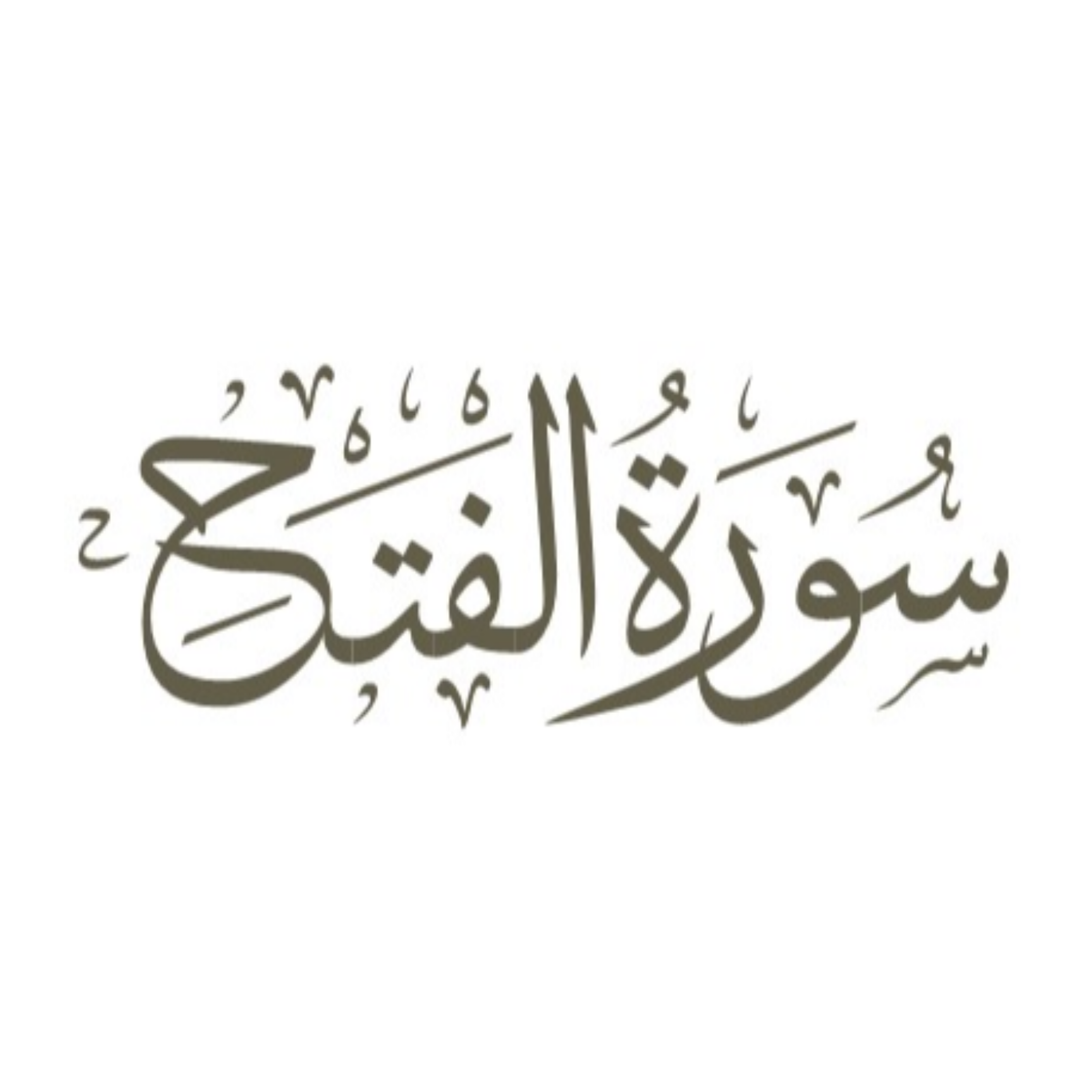 کاور قسمت چهاردهم: آیه 25