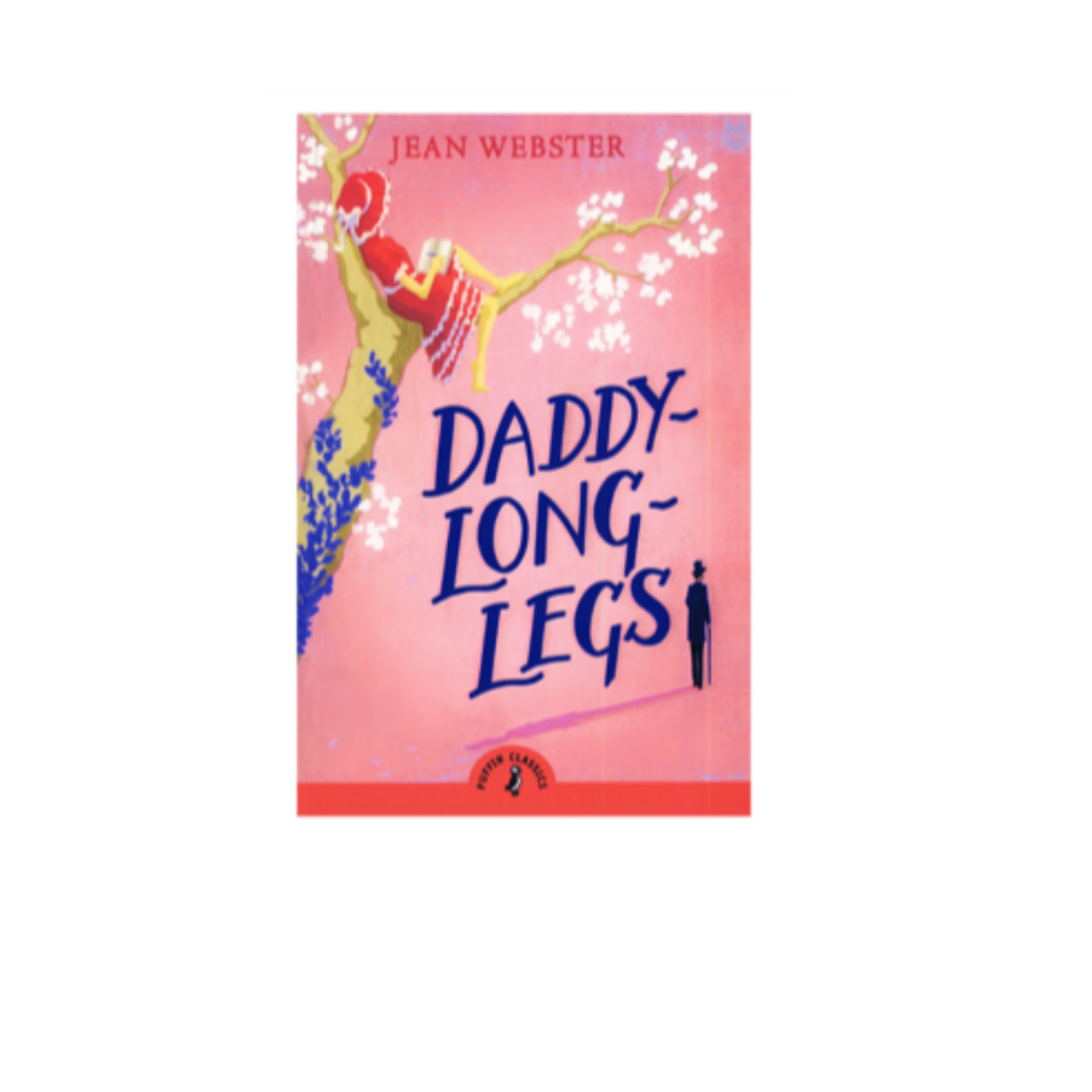 کاور رمان انگلیسی Daddy long legs