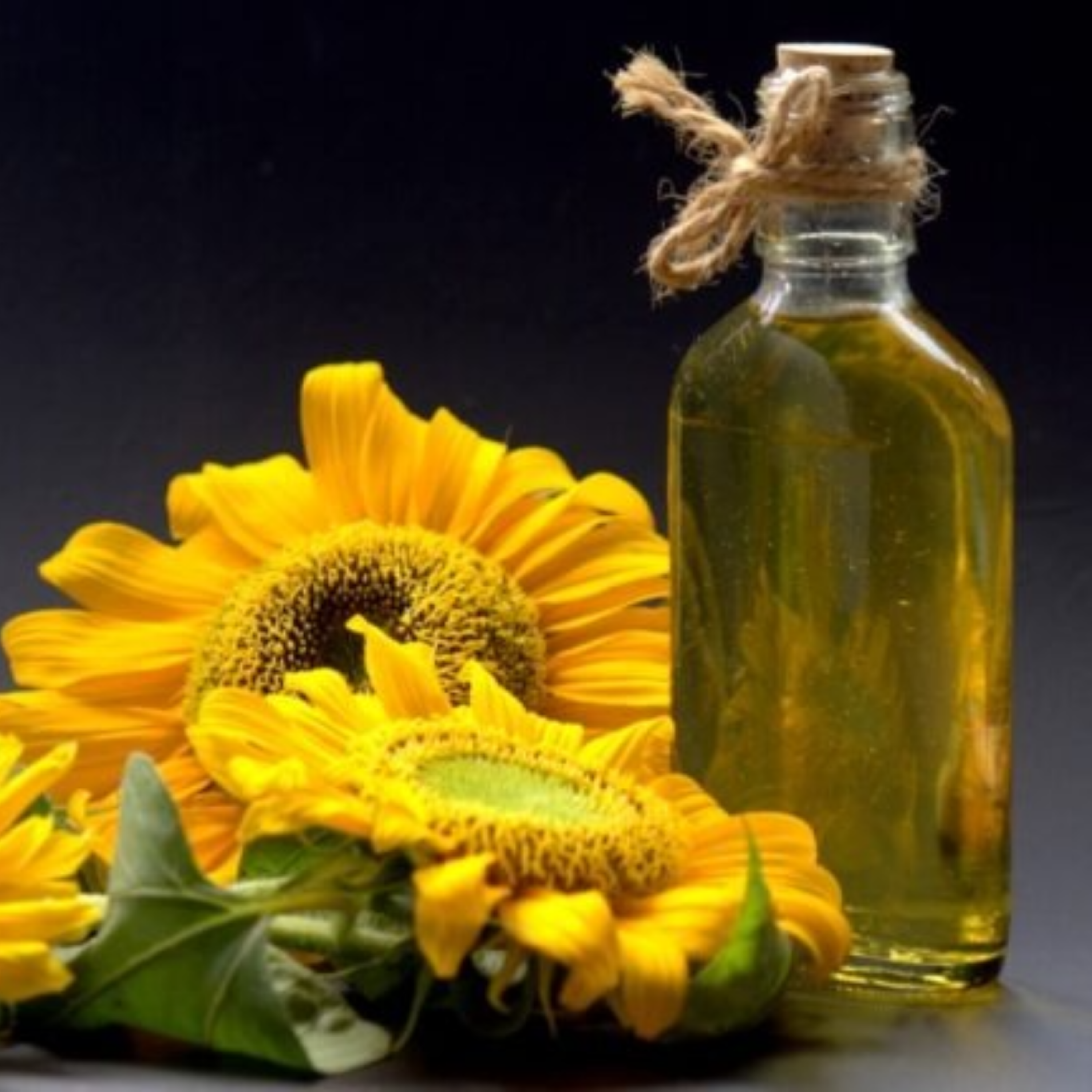 کاور روغن افتابگردان
