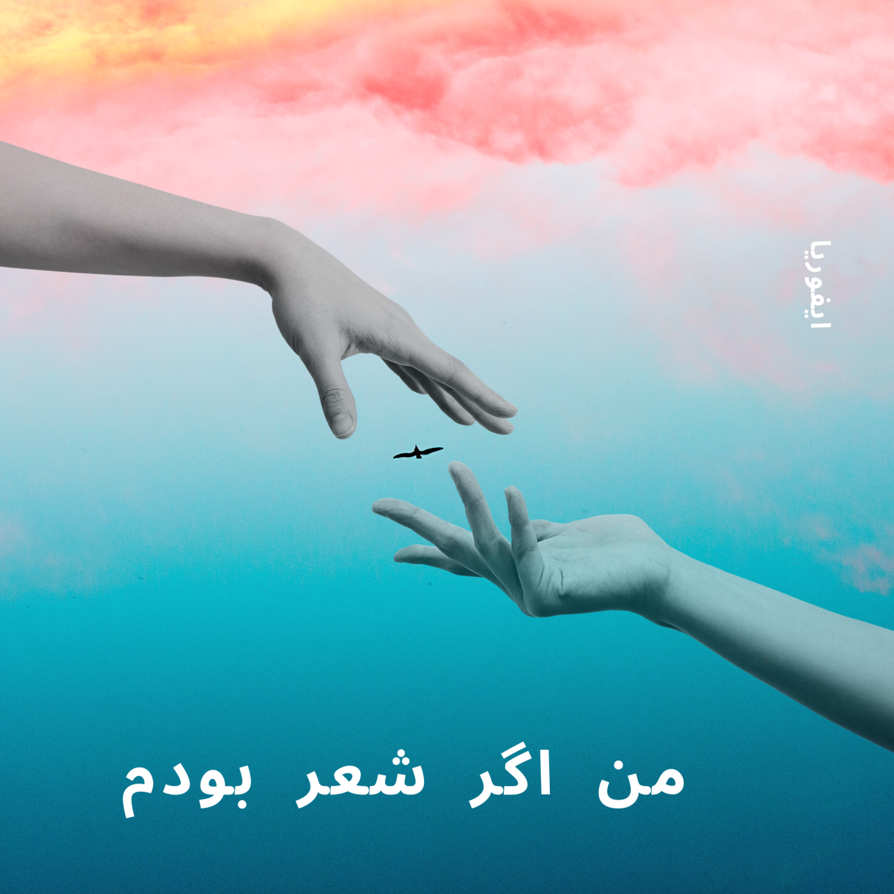 کاور من اگر شعر بودم