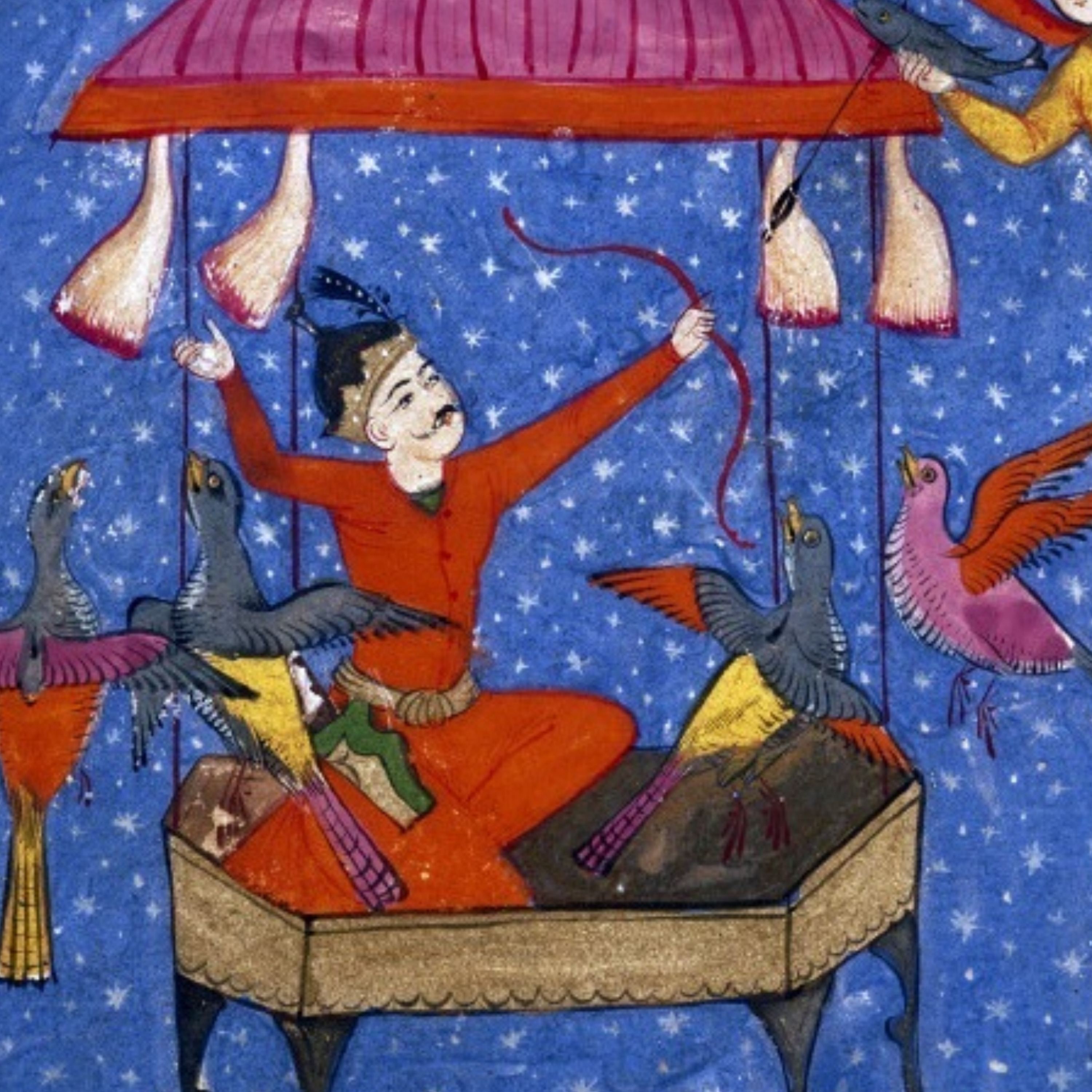 کاور نشست 51 (کیکاووس)