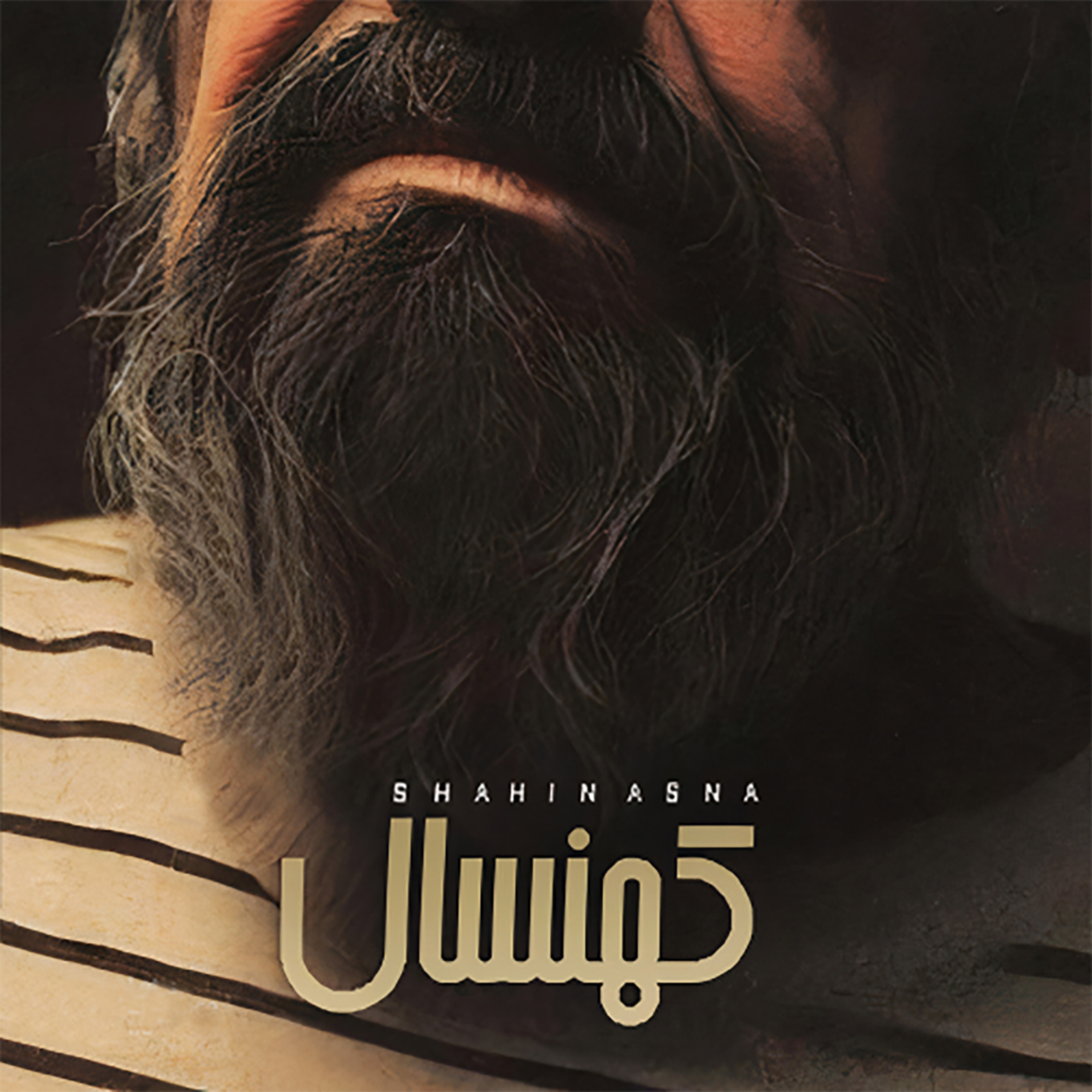 آهنگ کهنسال : شاهین اسنا