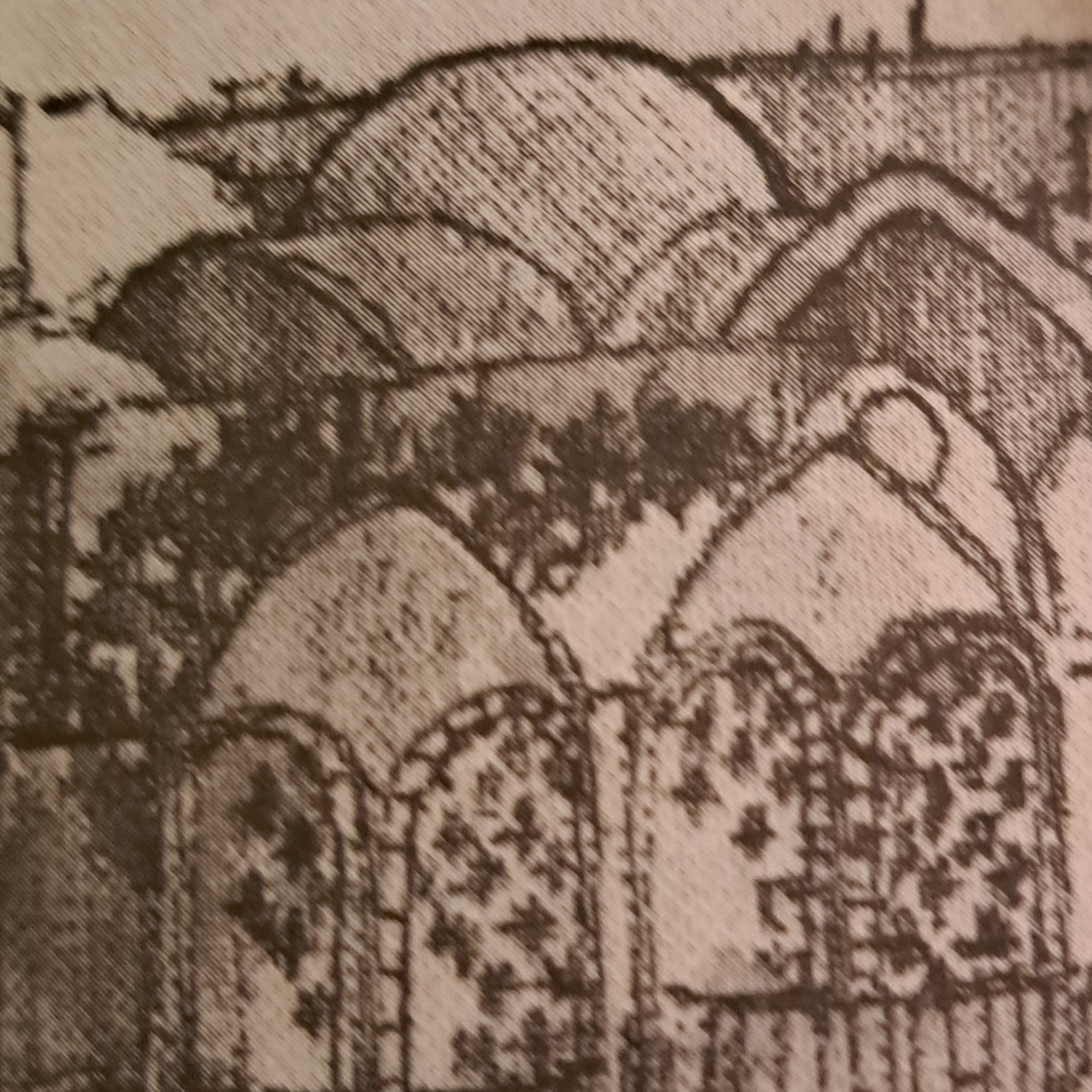 کاور کاشی و کاشان