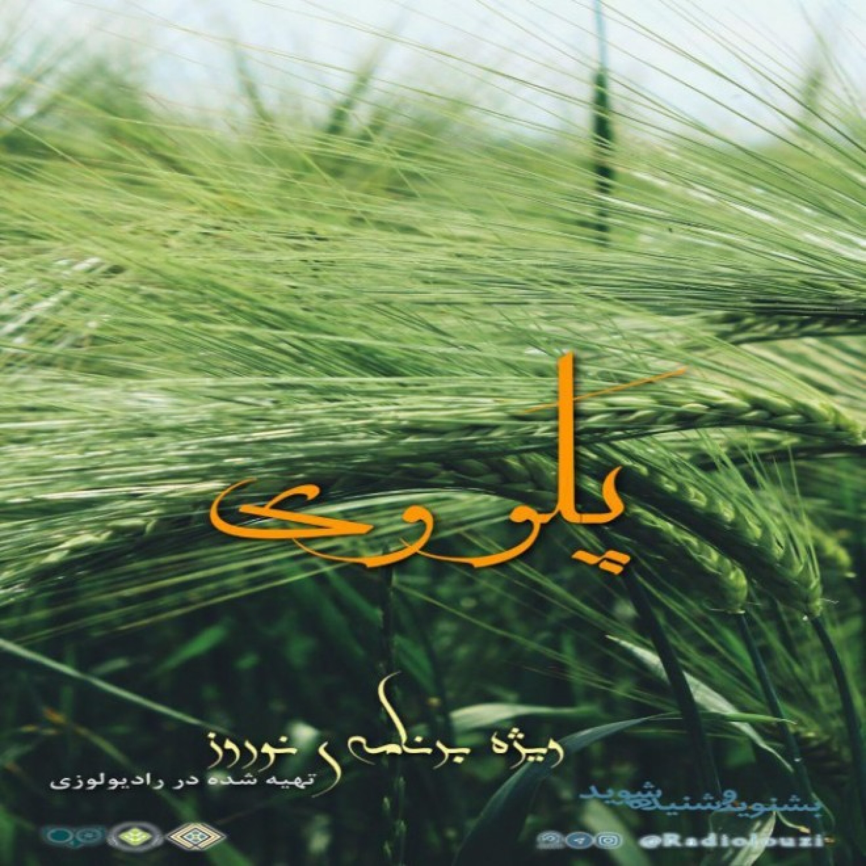 رادیولوزی- ویژه برنامه نوروز 98 - پلووی