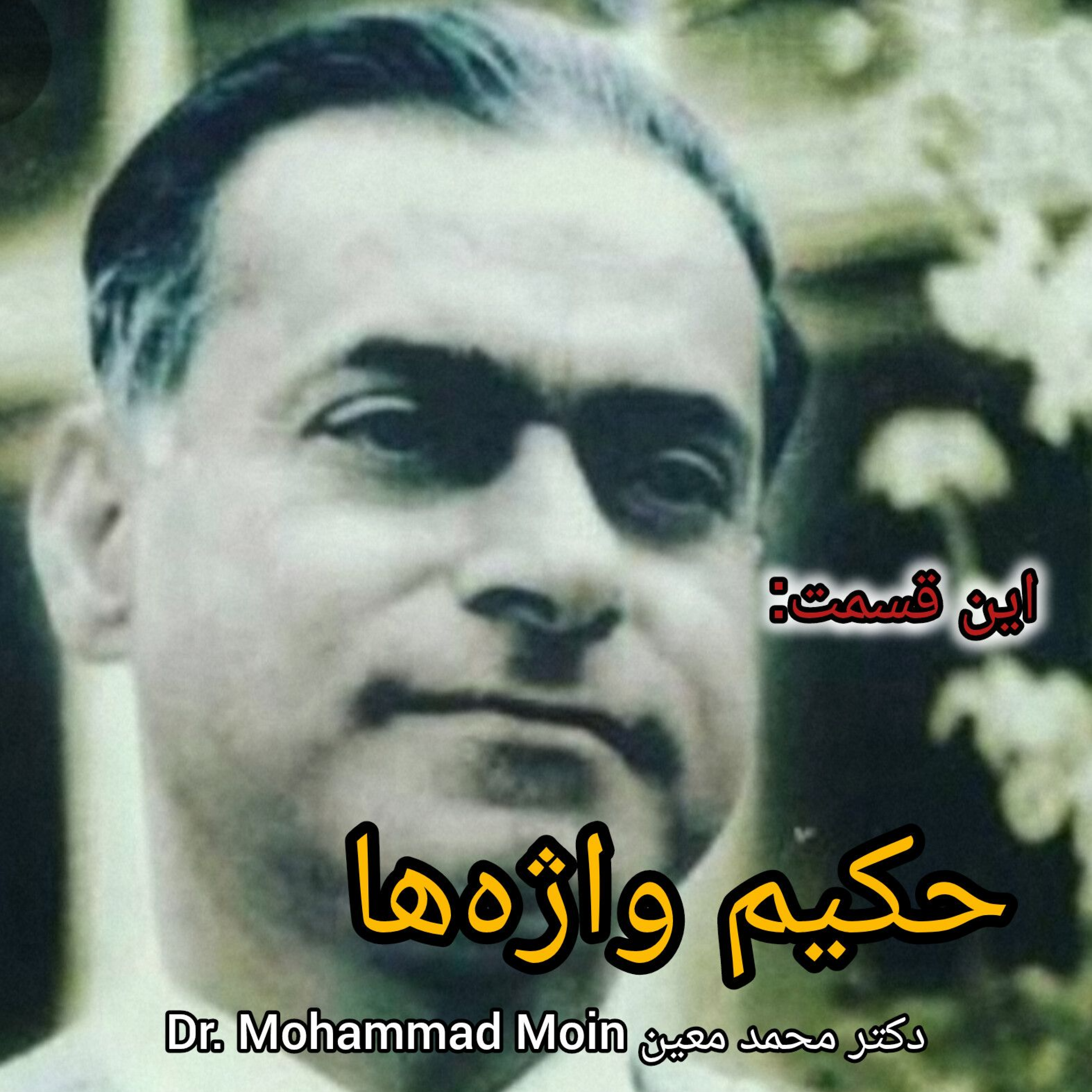 حکیم واژه ها