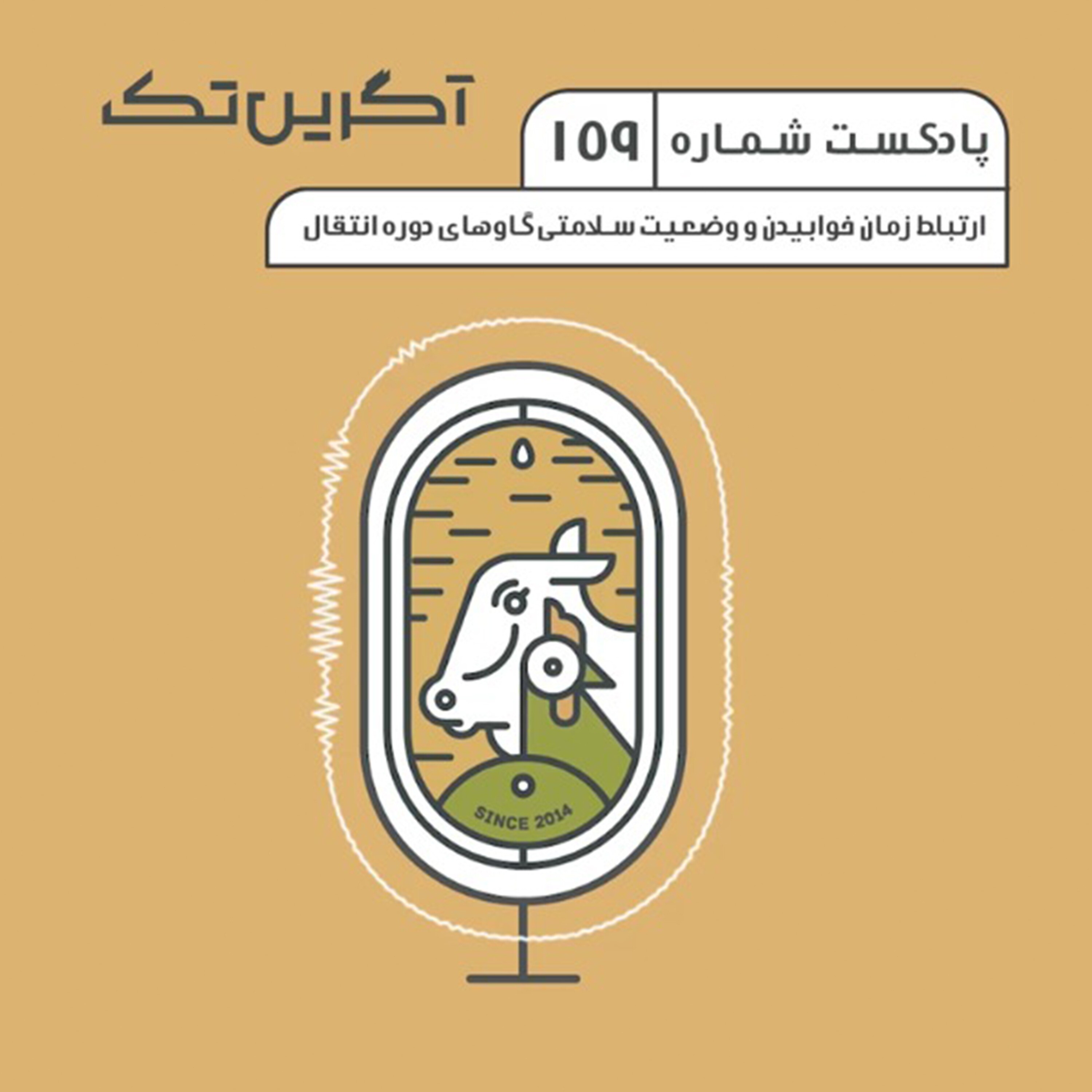 پادکست شماره 159: ارتباط زمان خوابیدن و وضعیت سلامتی گاوهای دوره انتقال