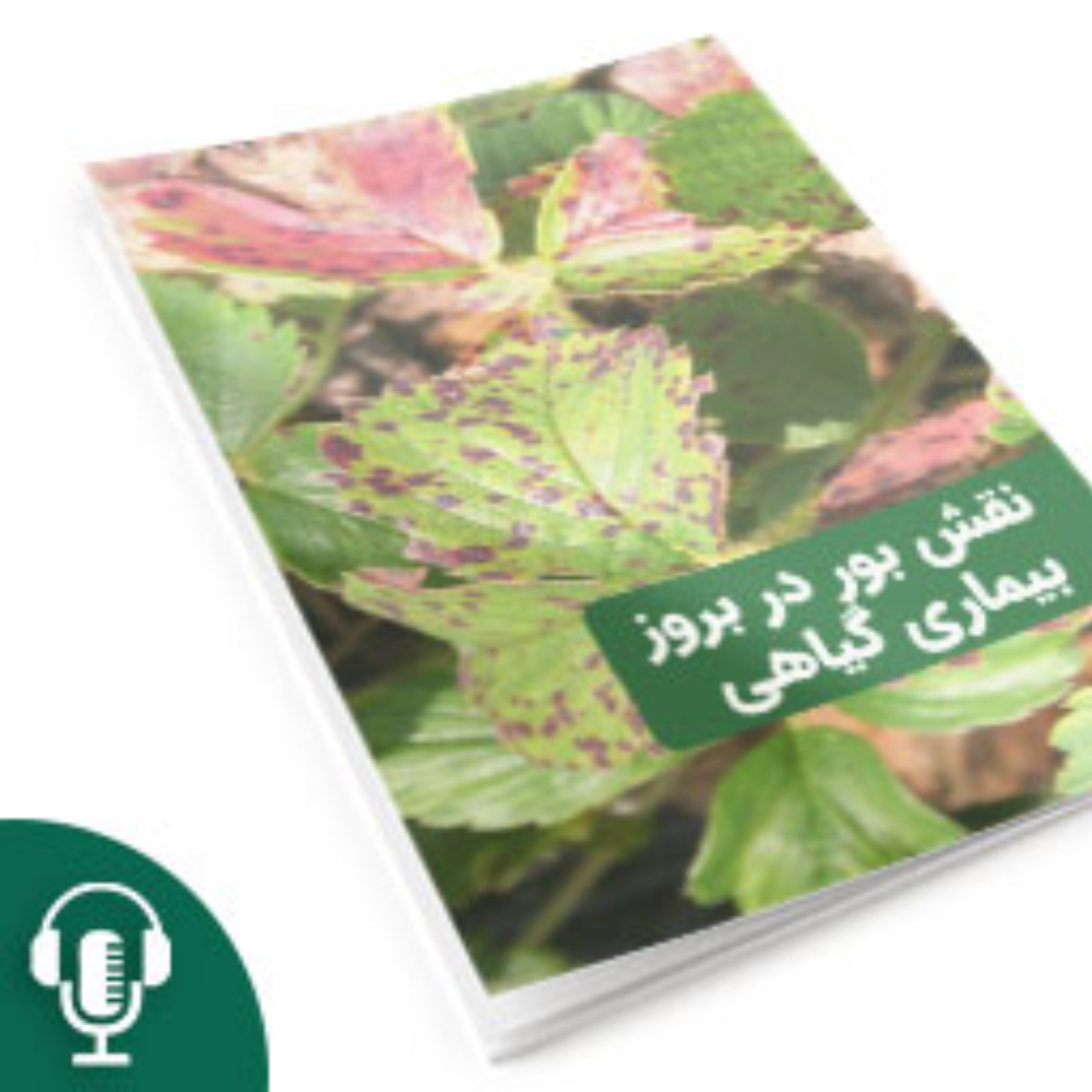 کاور نقش بور در بروز بیماری گیاهی