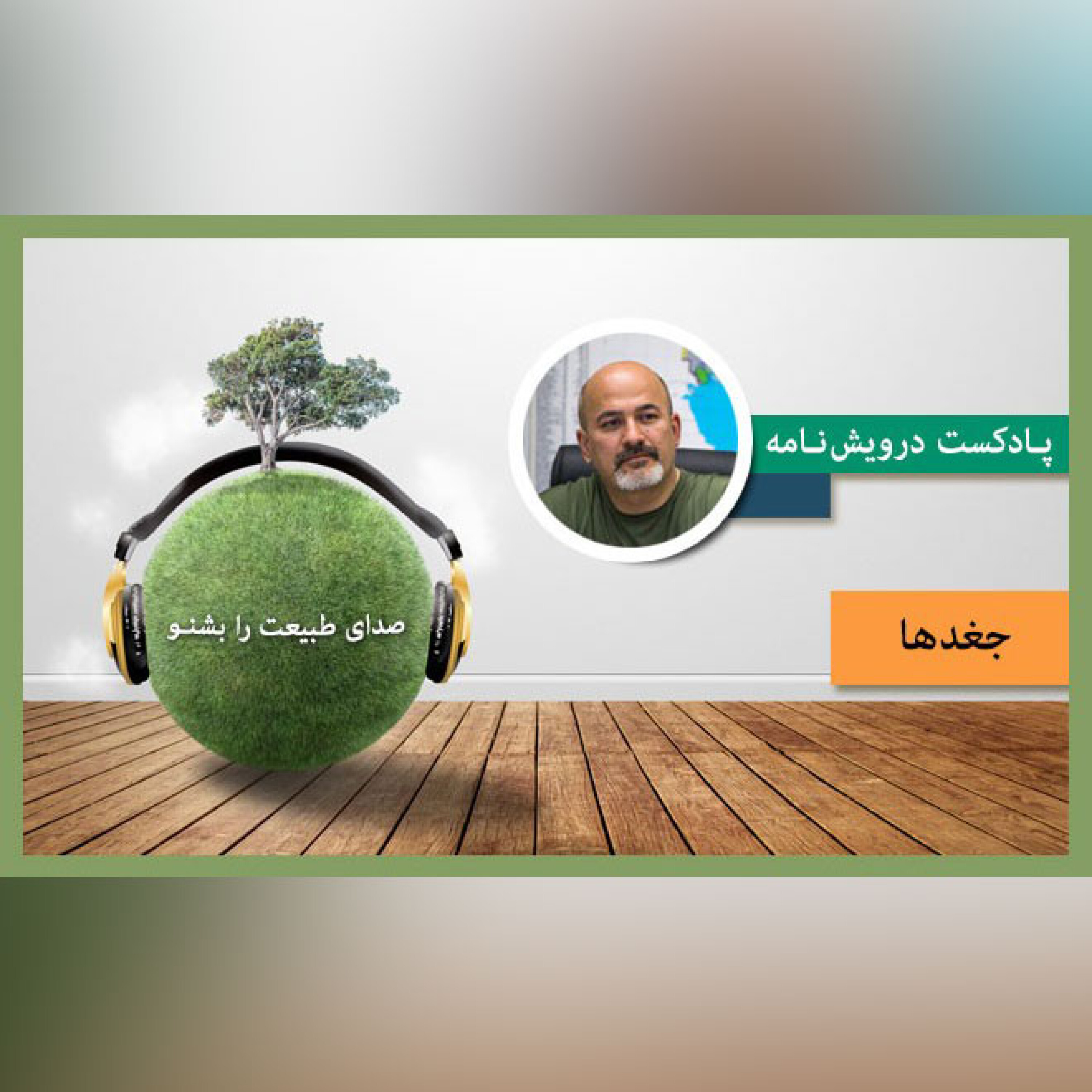 جغدها episode artwork