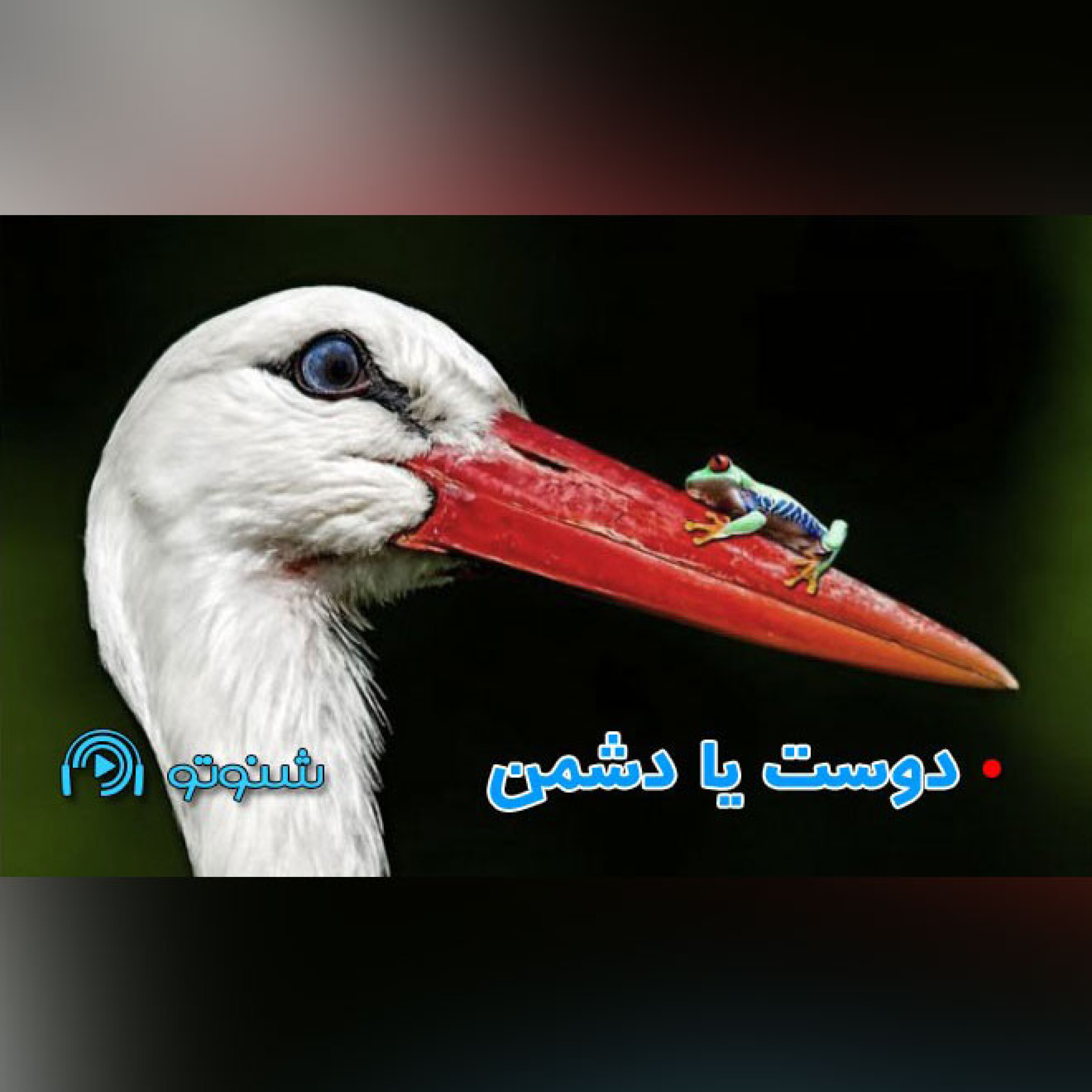 کاور دوست یا دشمن