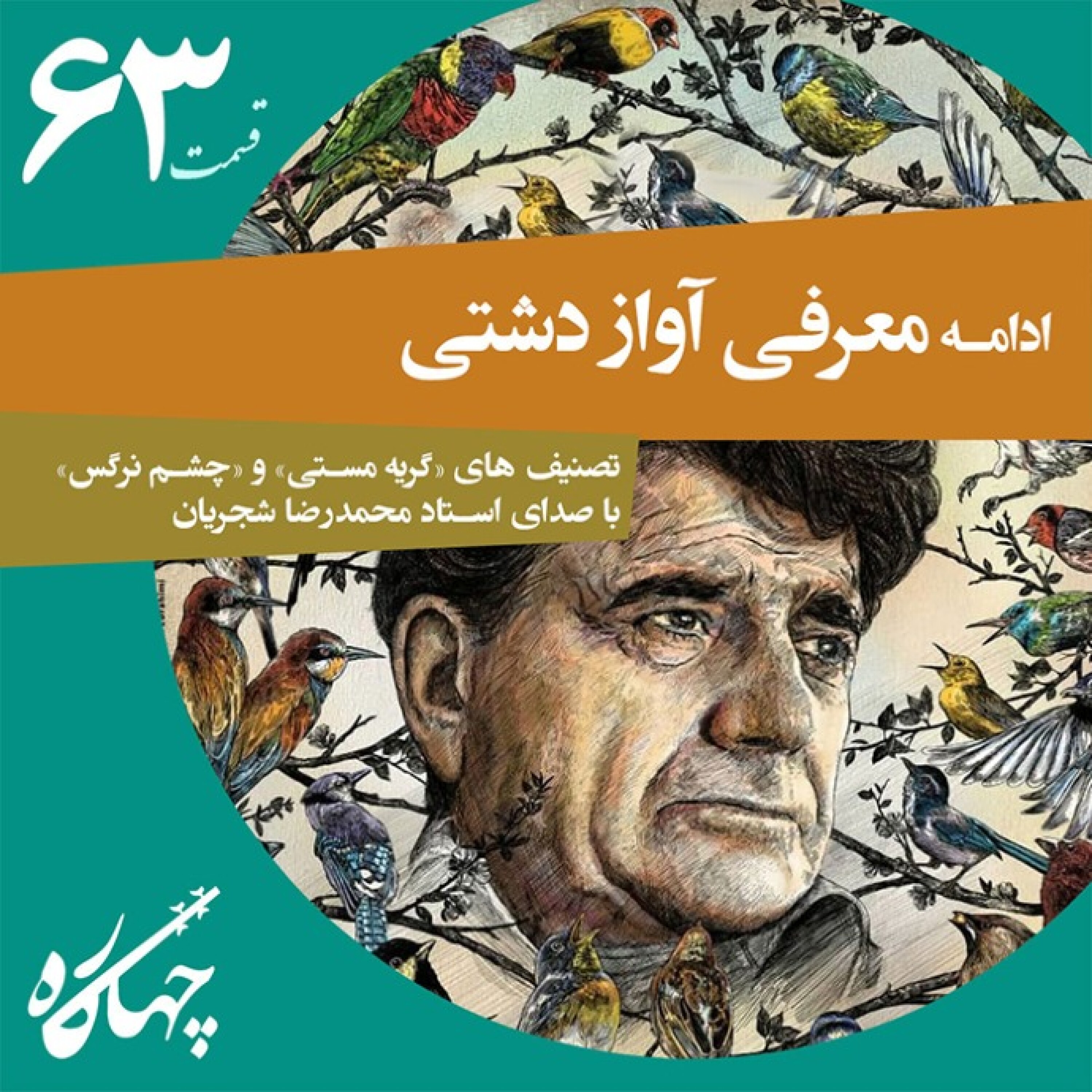 قسمت شصت و سوم / ادامه معرفی آواز دشتی