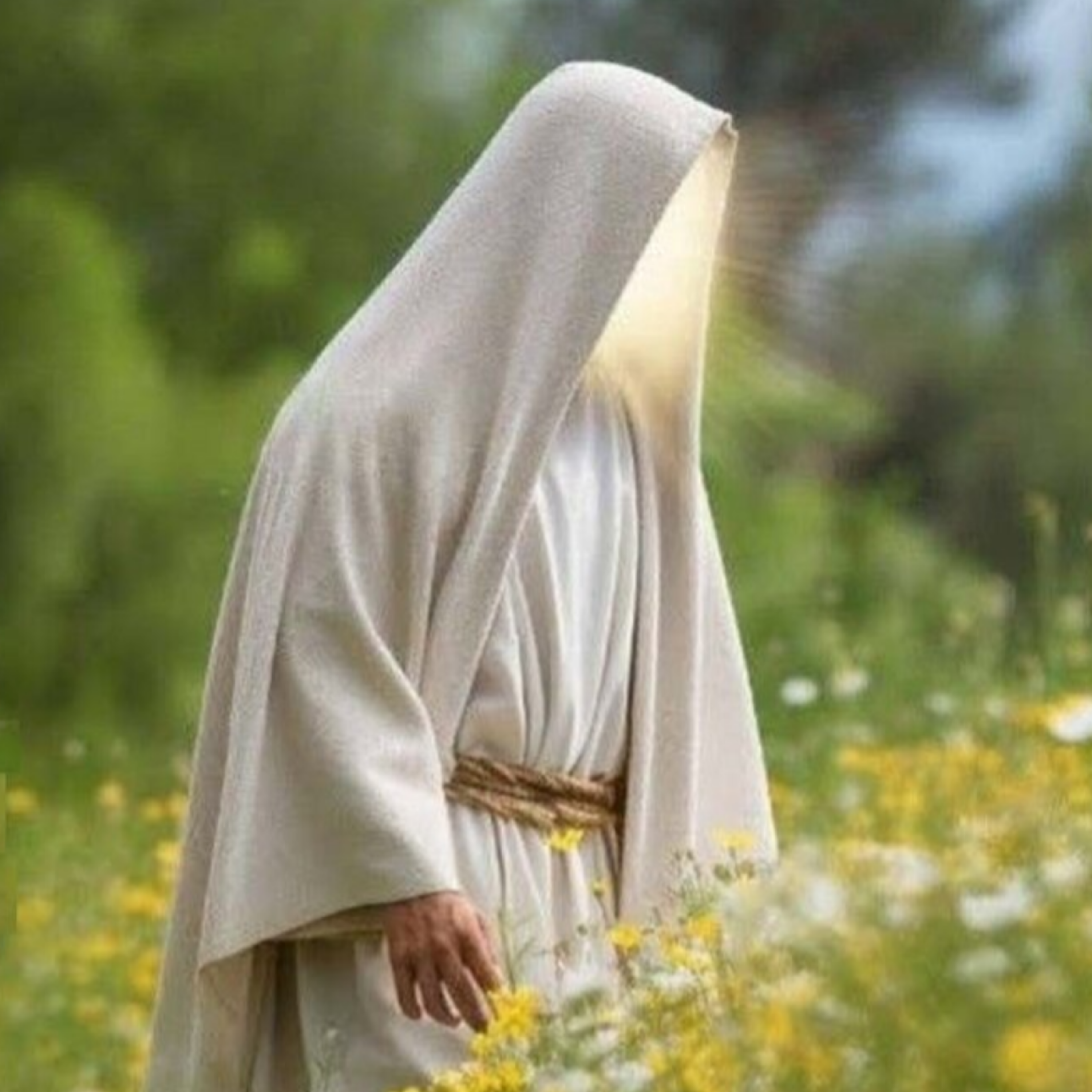 کاور Imam Mahdi (aj): The Twelfth Imam and Promised Savior in Shia Islam