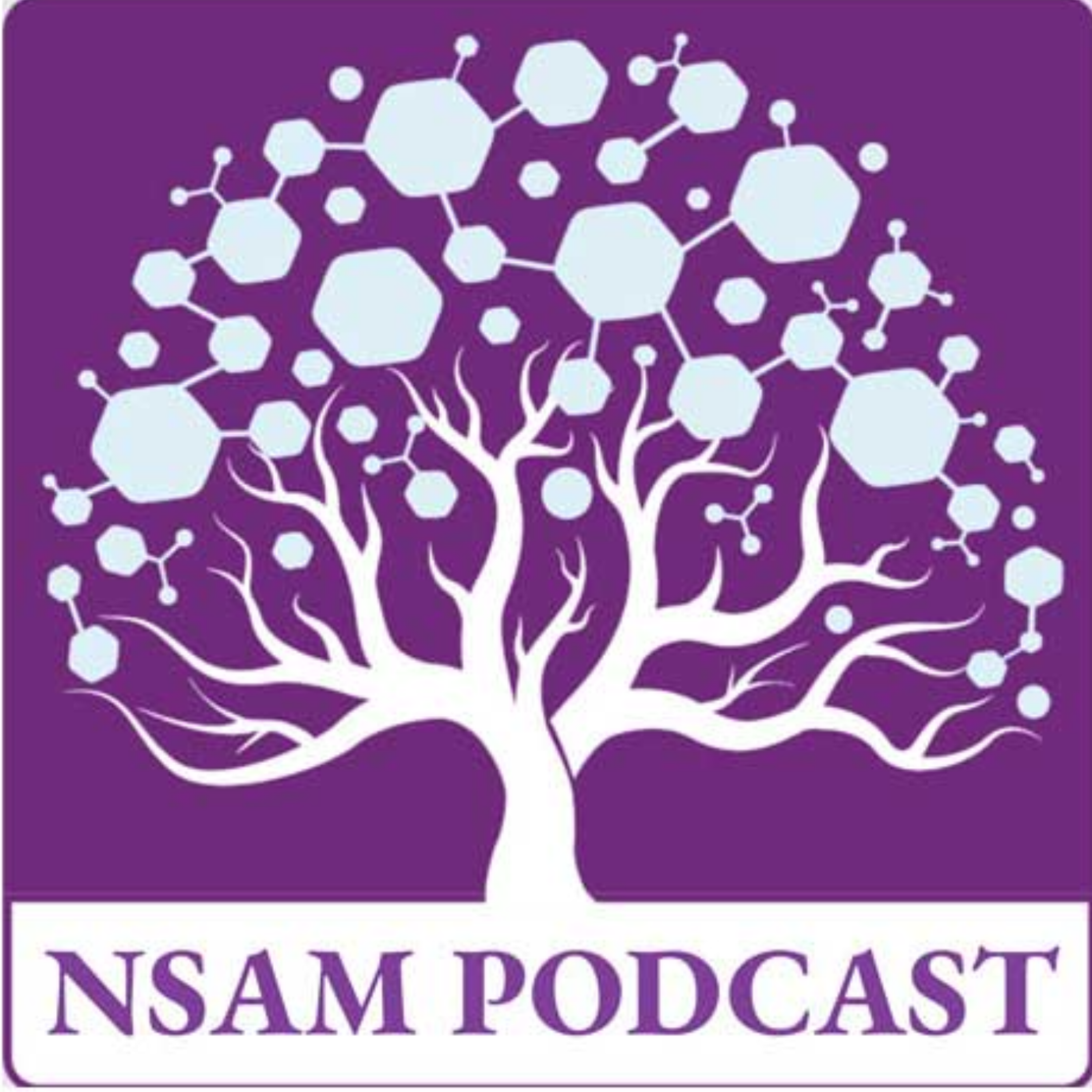 کاور Vol 2, Issue 3 🎧 Ep. 5. Room-Temperature Acetone Gas Sensor Based on V2O5 Nanoparticles