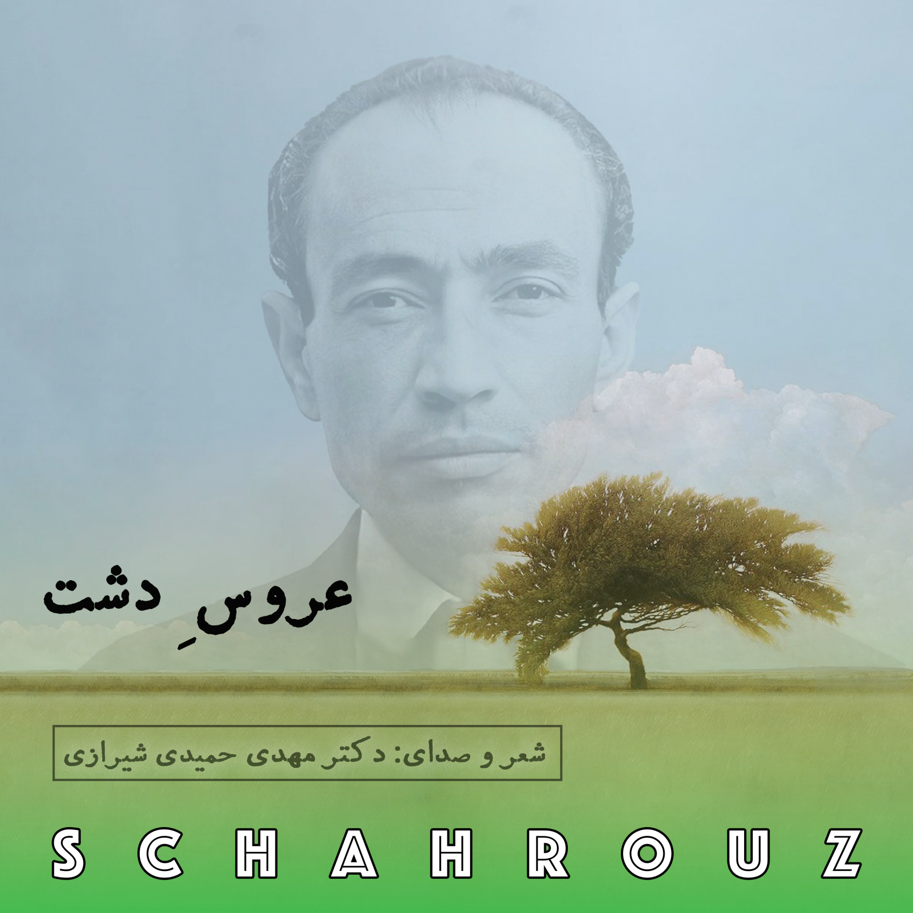 کاور مهدی حمیدی شیرازی | عروس دشت