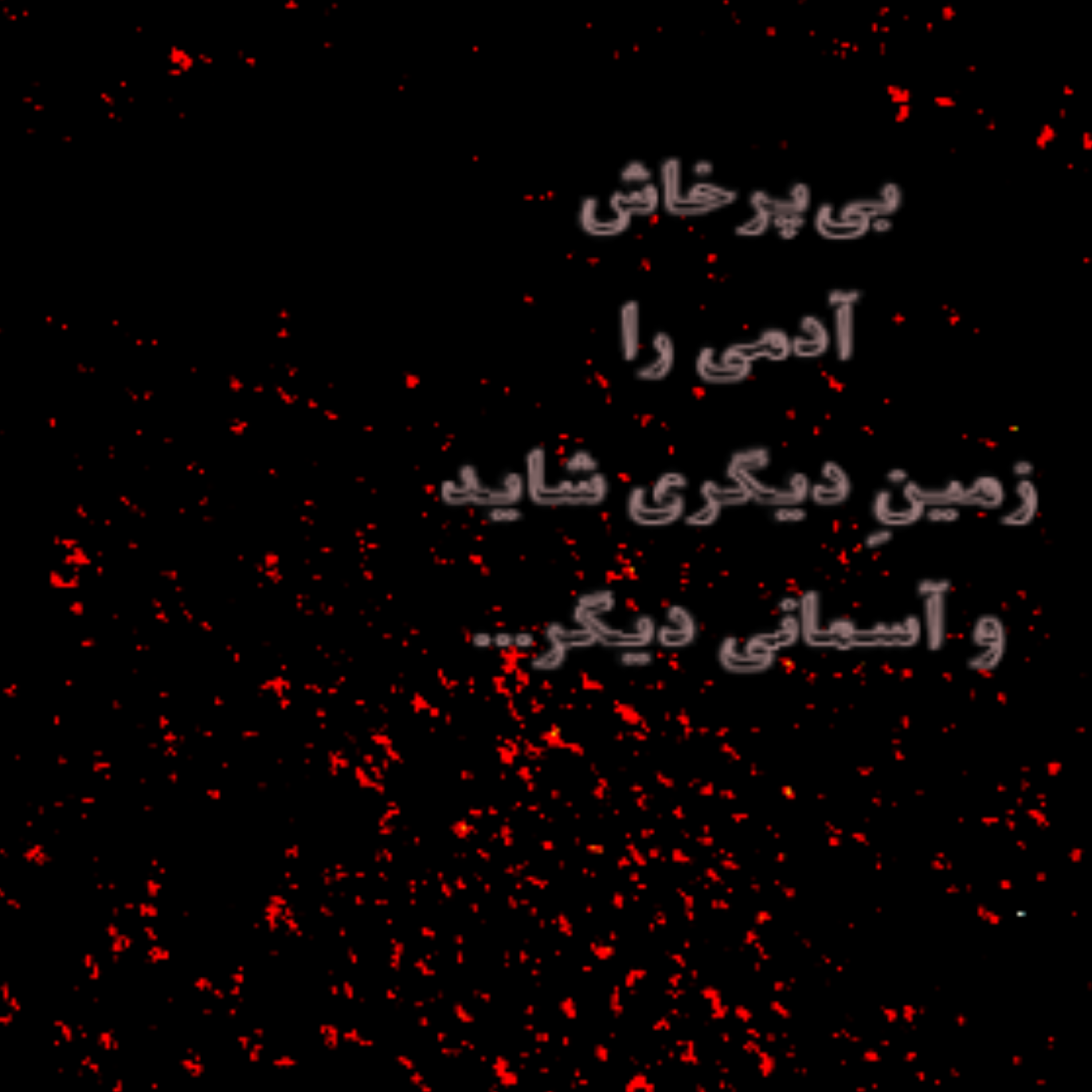 بی‌پرخاش...