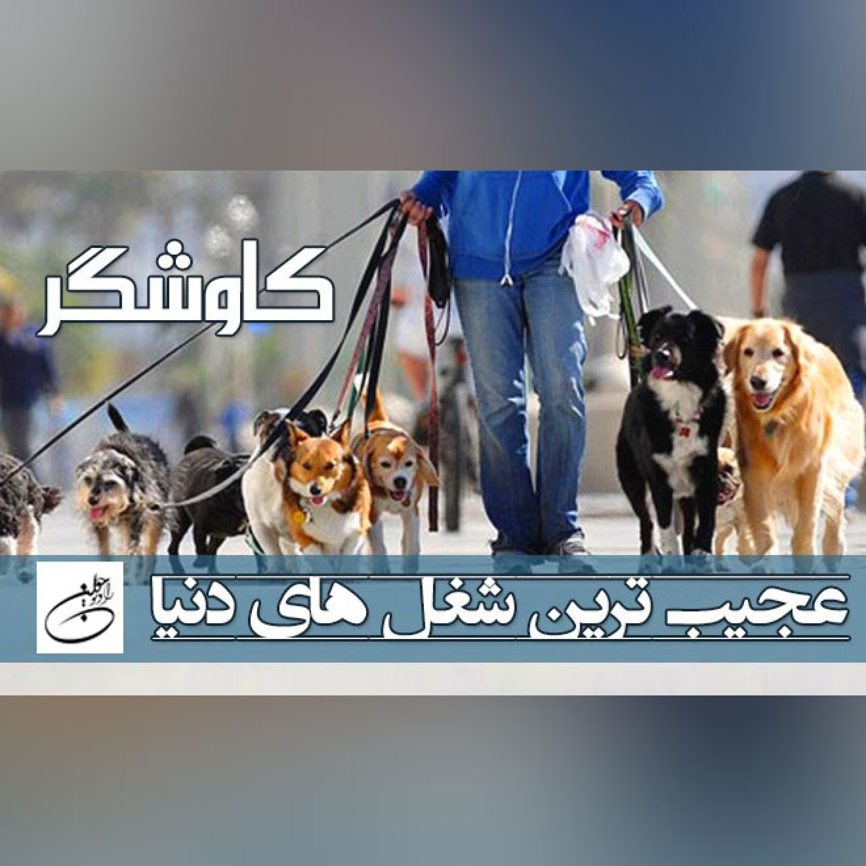 عجیب ترین شغل های دنیا