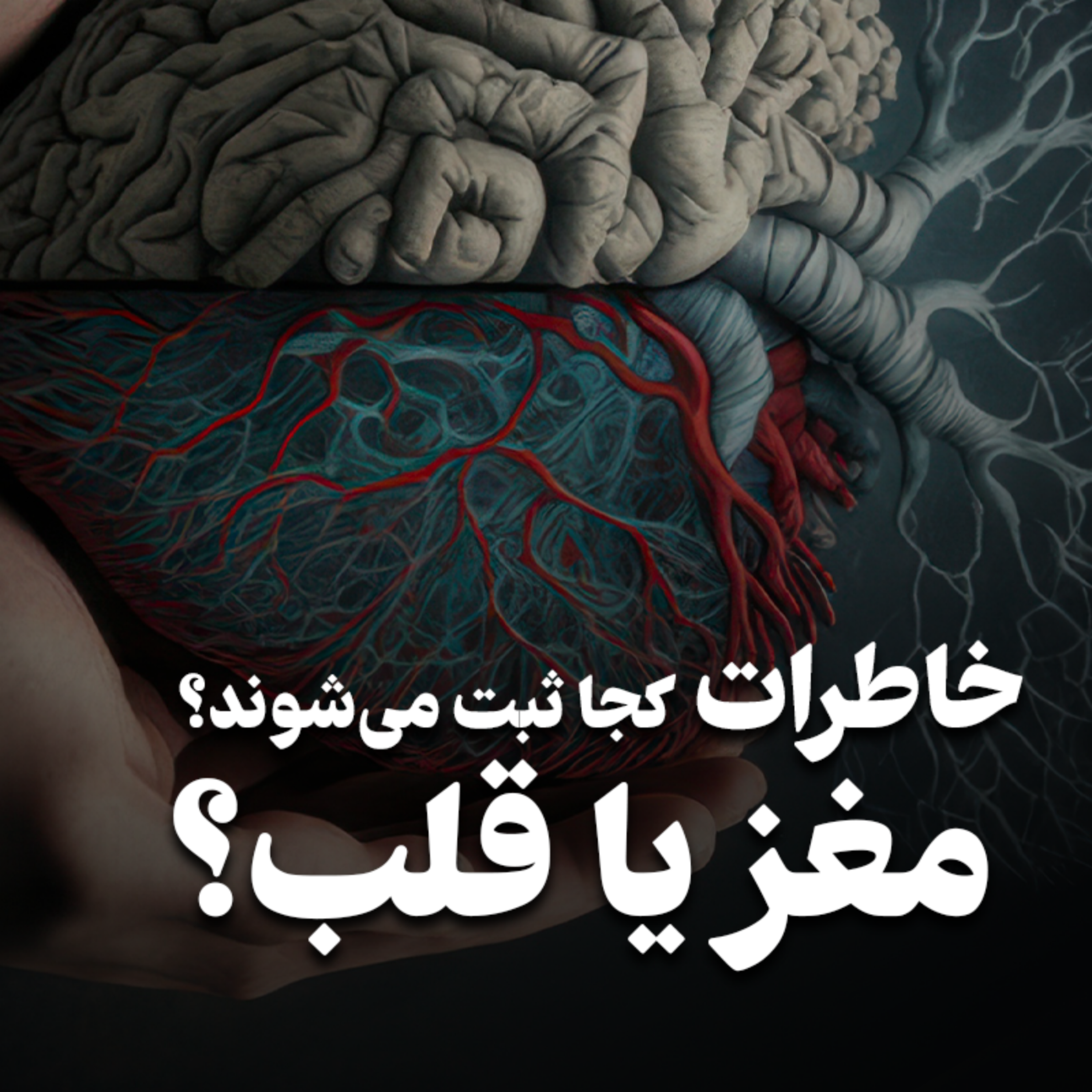 کاور خاطرات کجا ثبت می‌شوند؟ مغز یا قلب؟