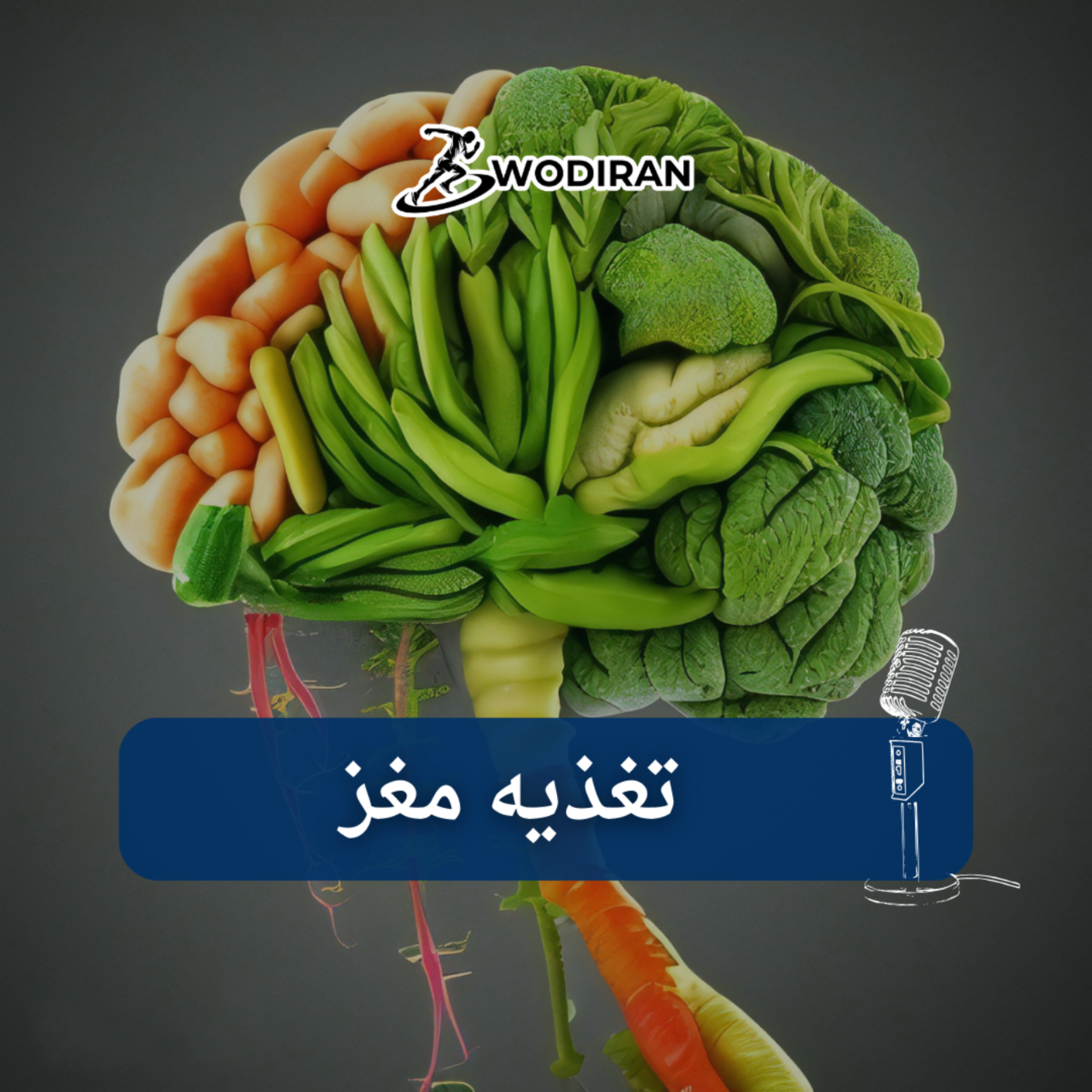کاور تغذیه مغز