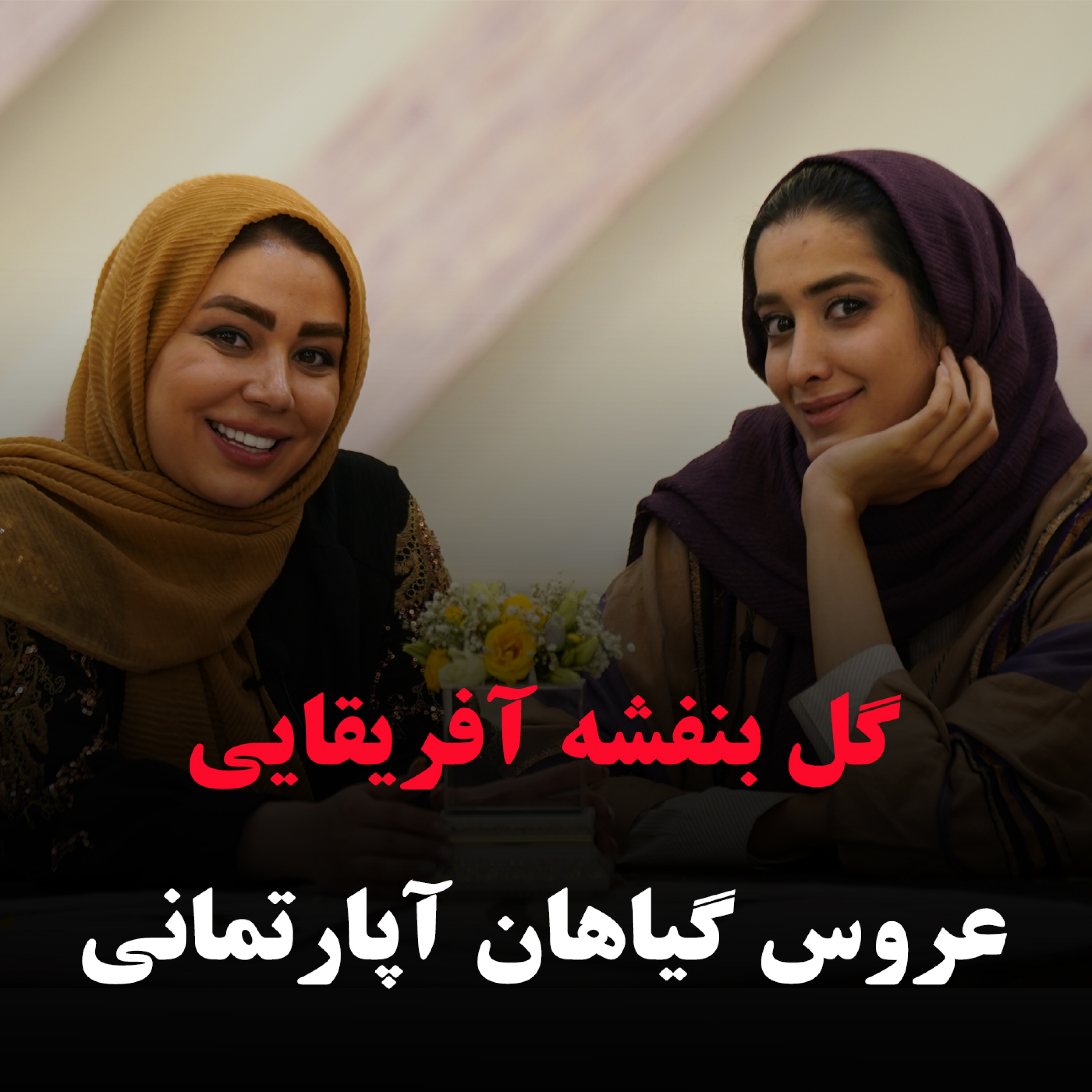 کاور گل بنفشه آفریقایی، عروس گیاهان آپارتمانی