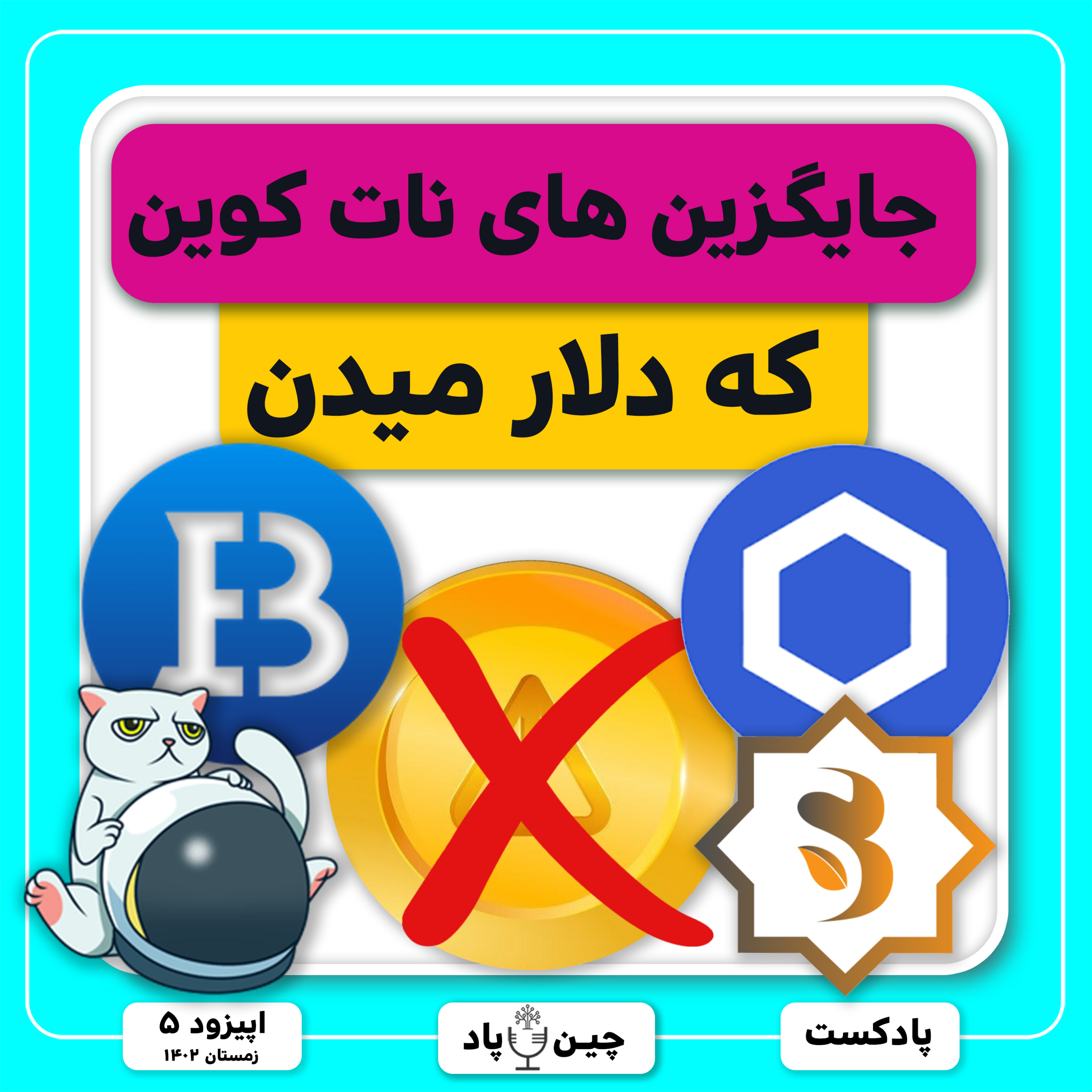 جایگزین های نات کوین که دلار میدن episode artwork