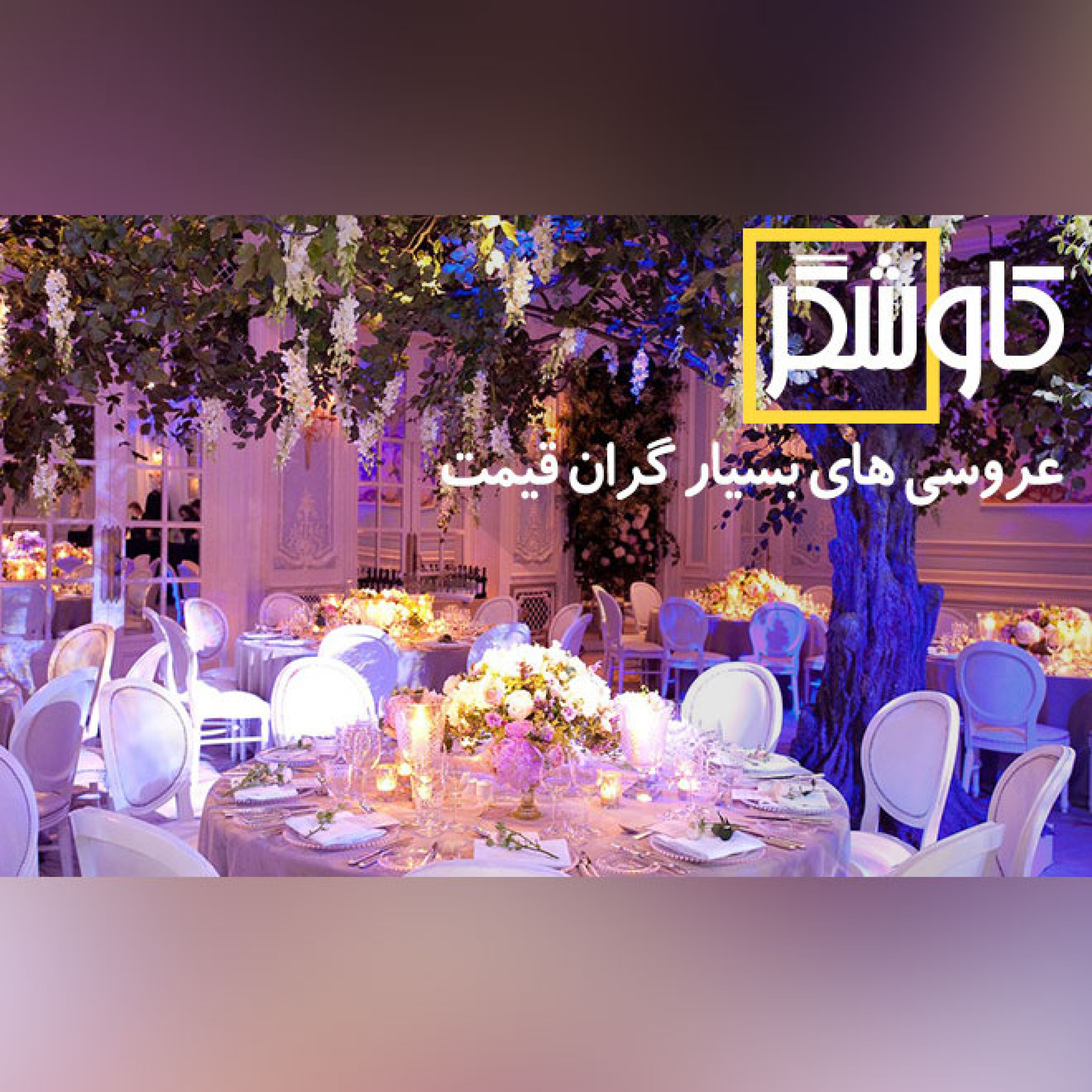 عروسی های بسیار گران قیمت