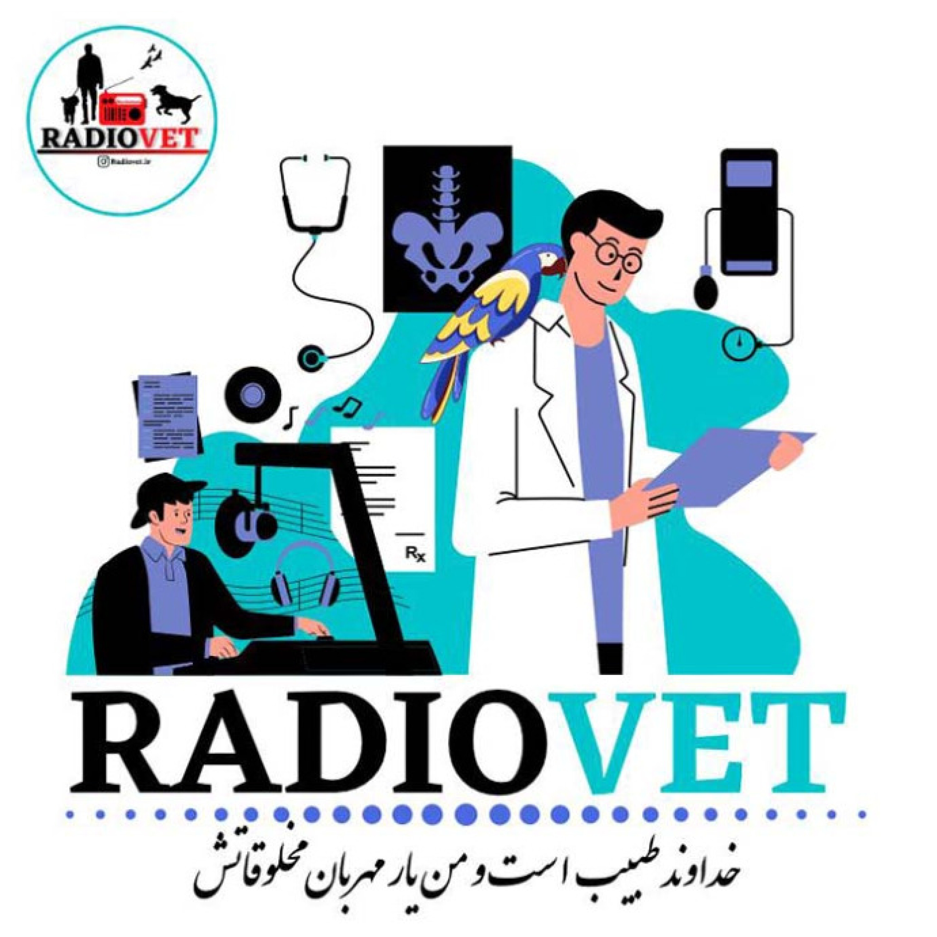 کاور دنیای حیوانات