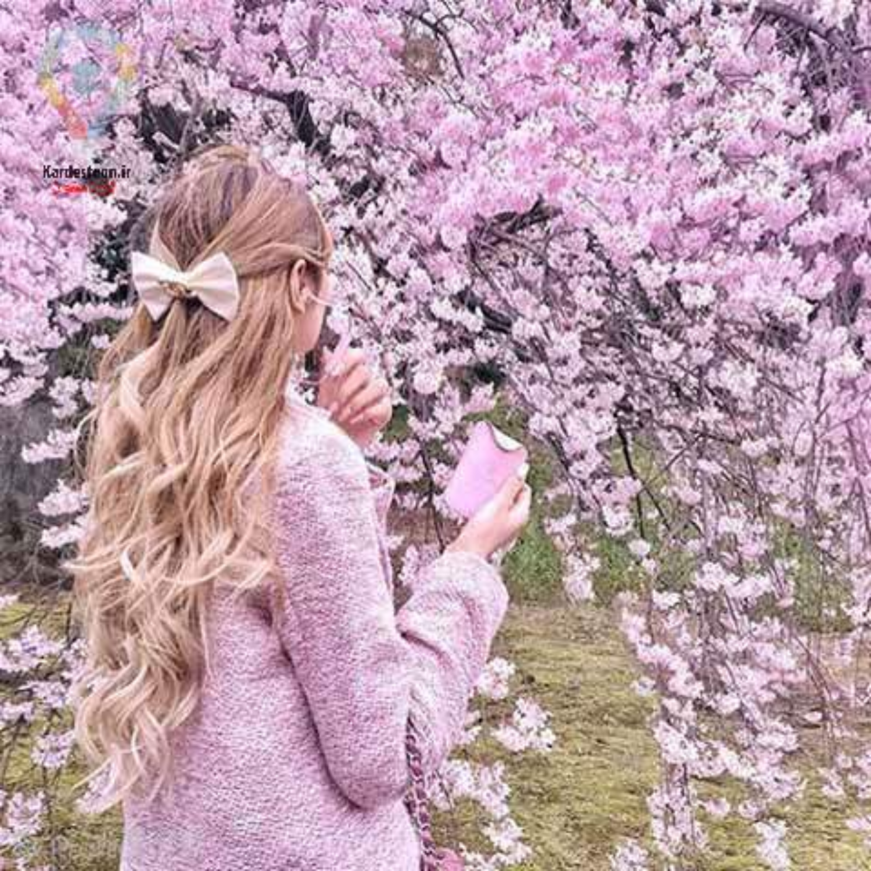 کاور بهار برای تو