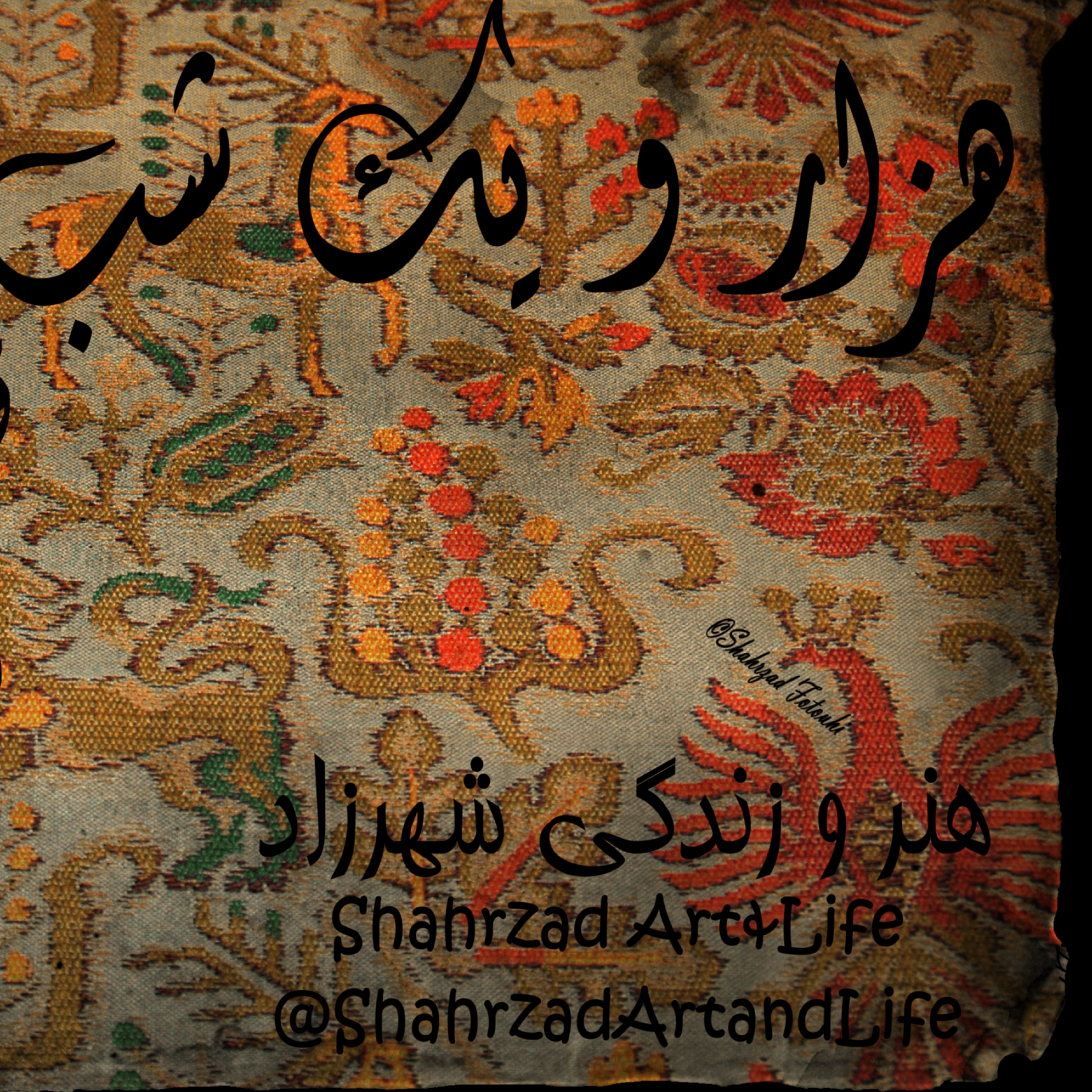 هزار و یک شب ۷۲۴ هفتصد و  بیست و چهارم  قصه‌گو شهرزاد‌فتوحی  هنر‌و‌زندگی‌شهرزاد
