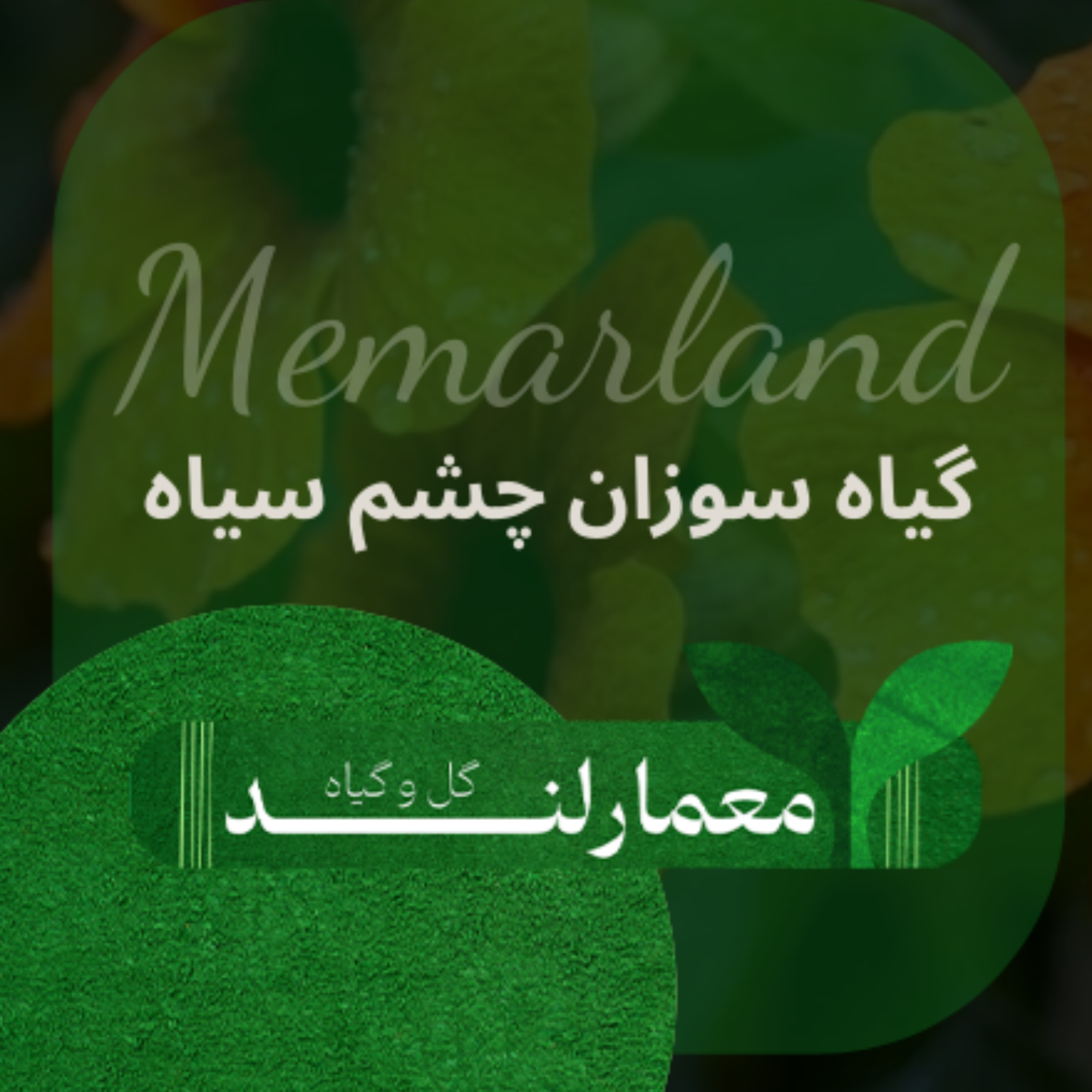 کاور گیاه سوزان چشم سیاه