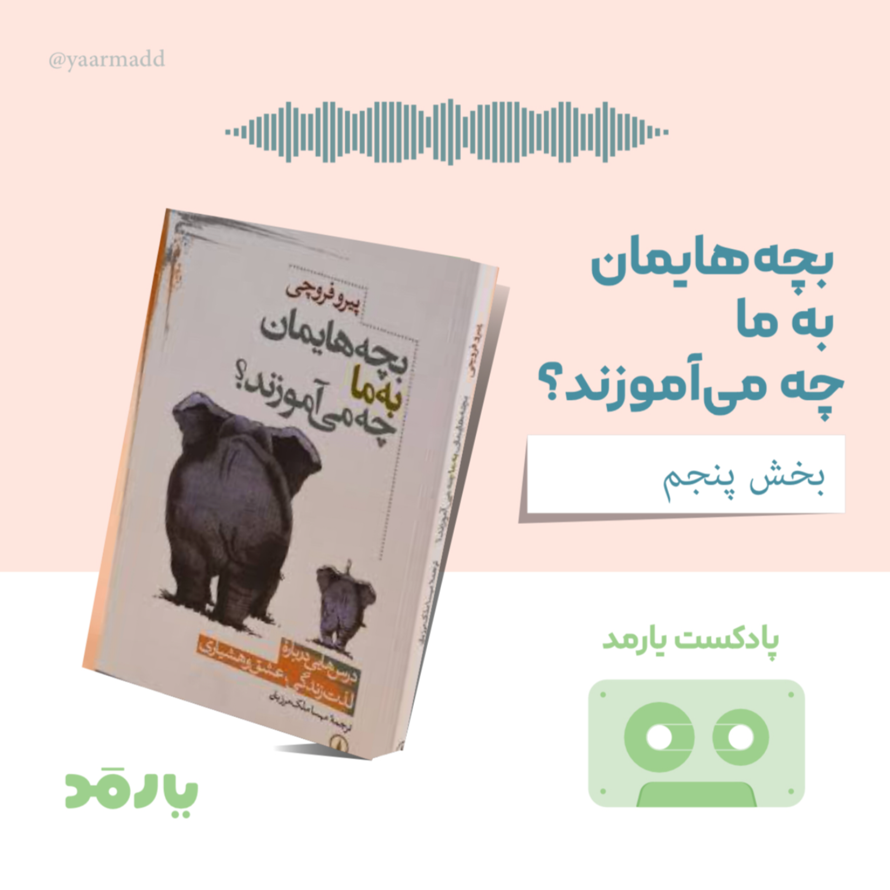 کاور ۵- تو اینی