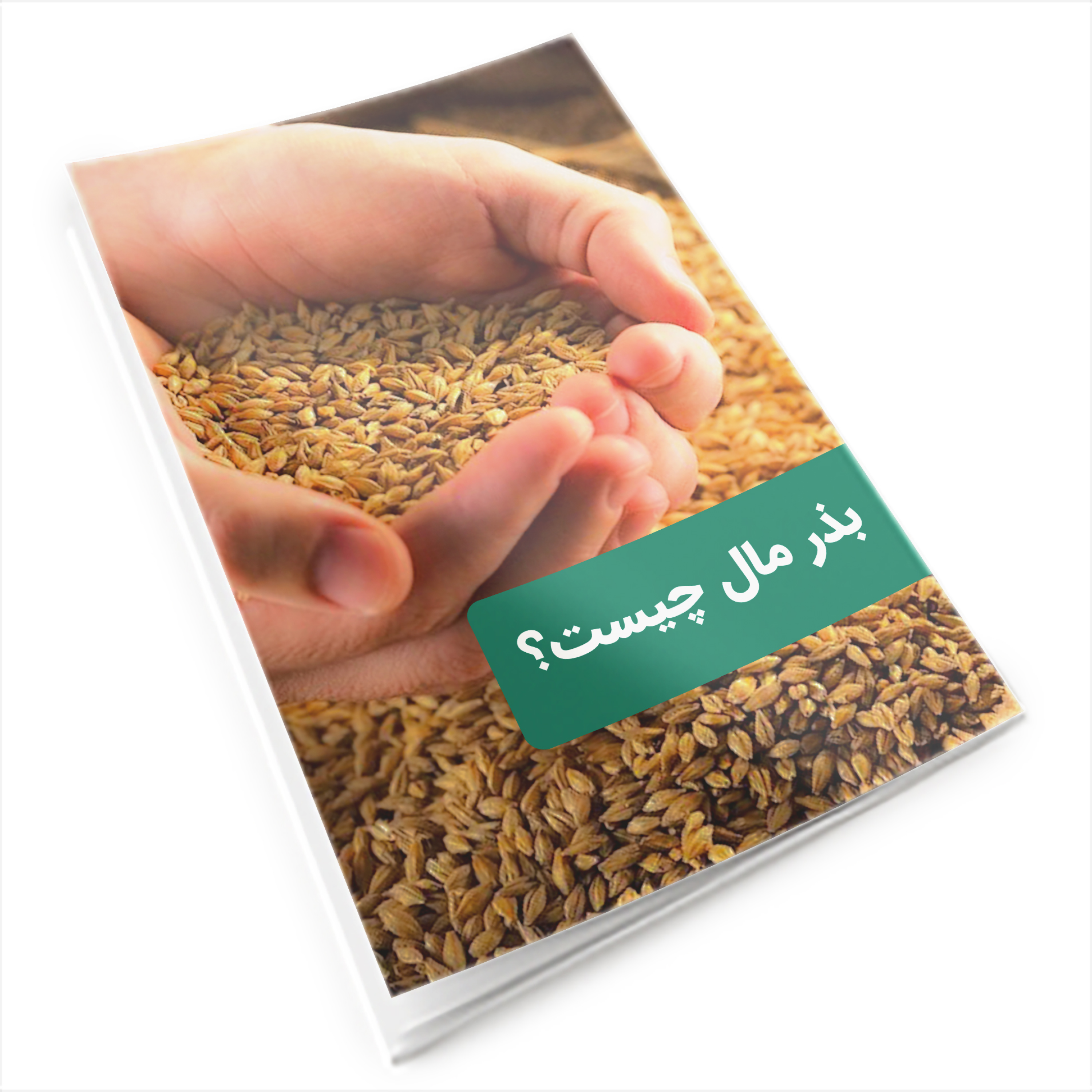 کاور بذر مال چیست؟