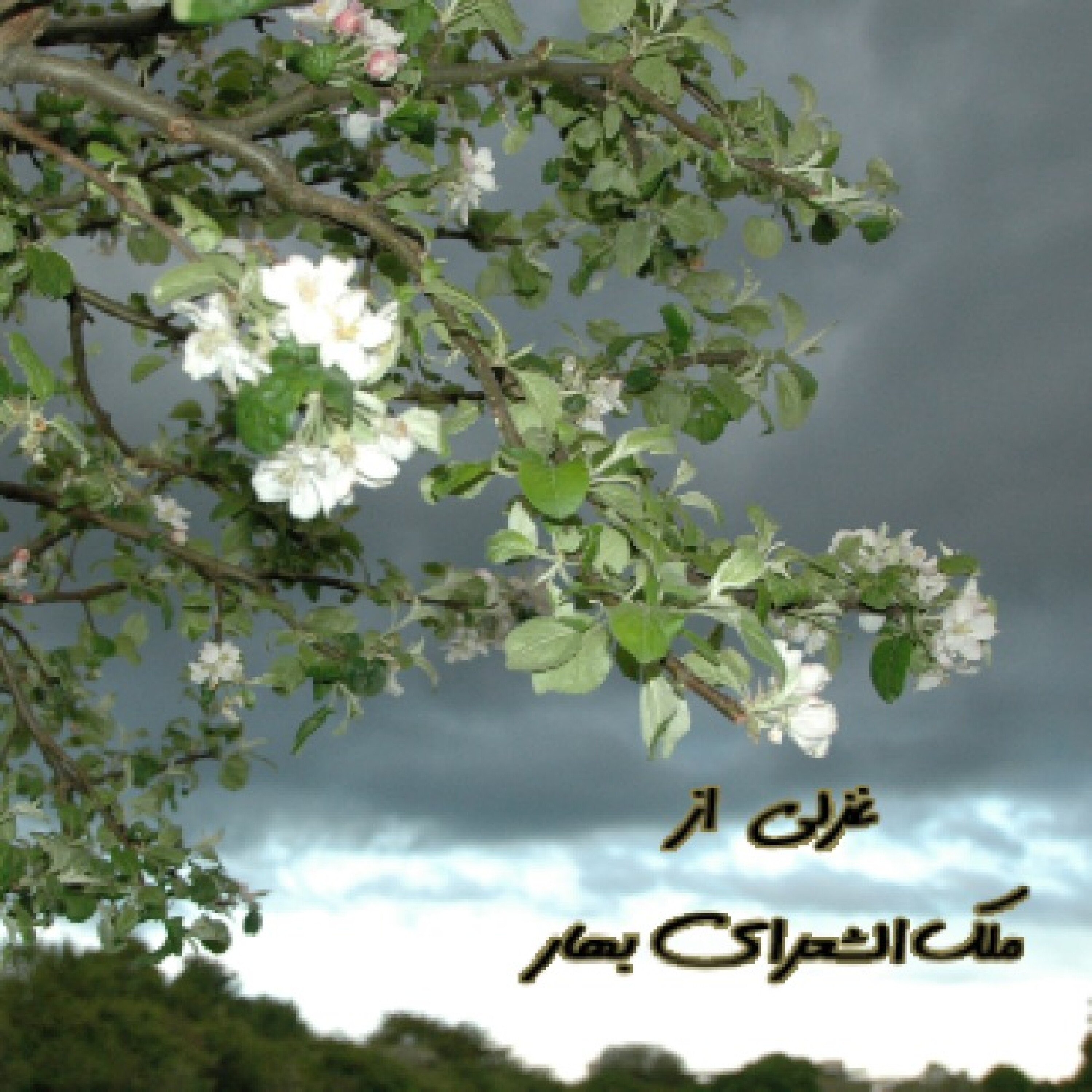 از بهار برای بهار     از محمد‌تقی بهار