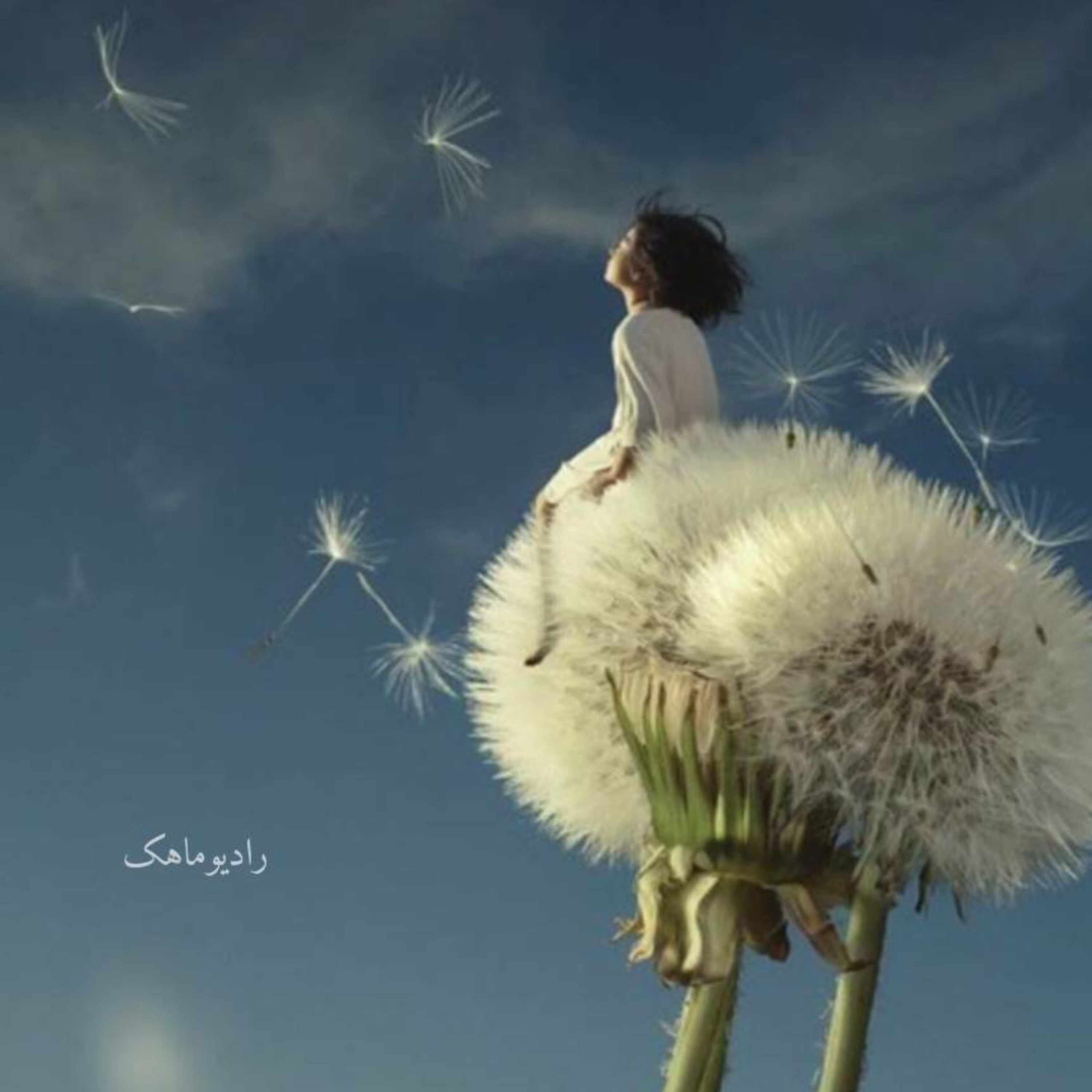 کاور ..... همسایه ی خدا